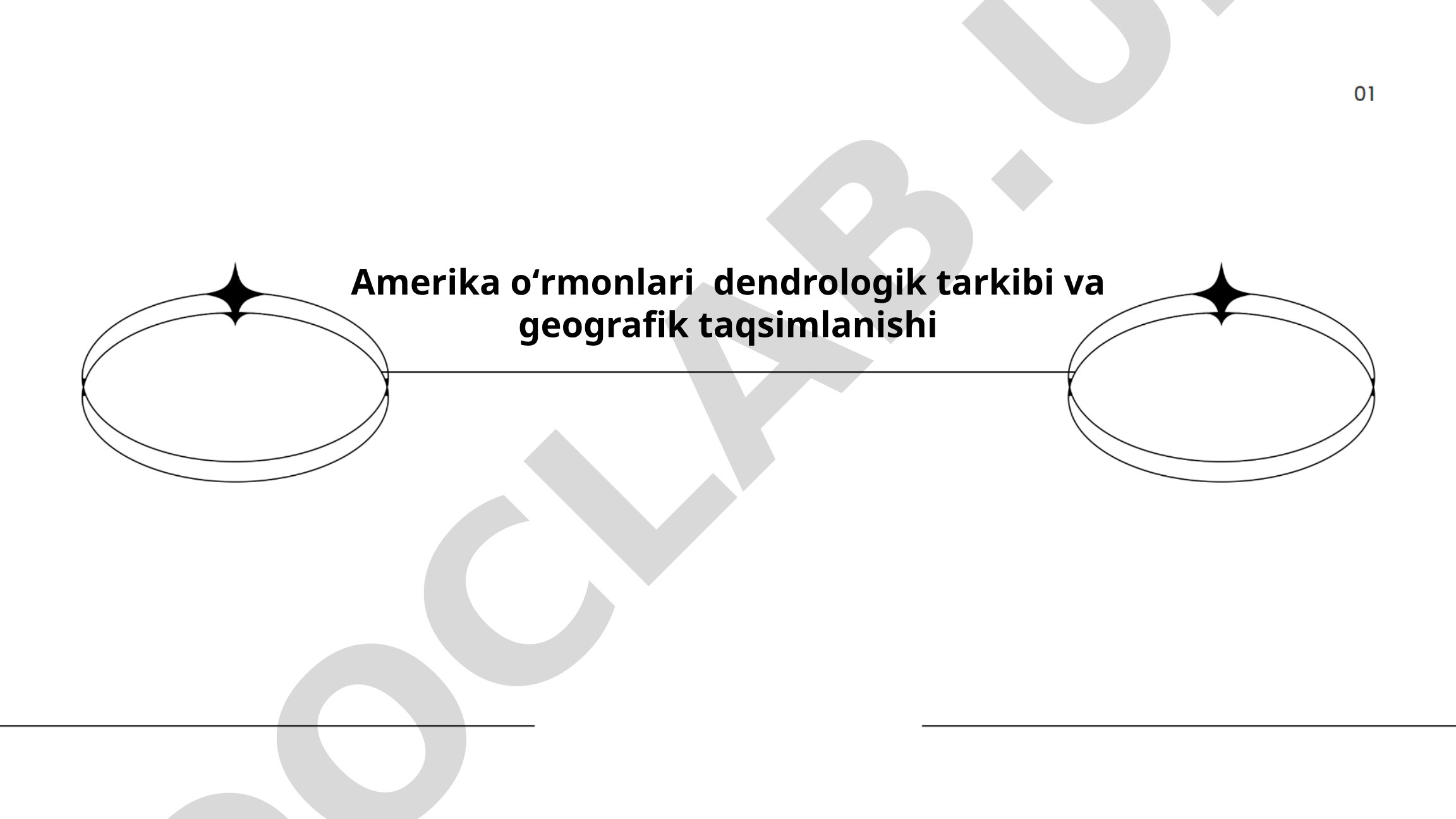Amerika oʻrmonlari dendrologik tarkibi va geografik taqsimlanishi