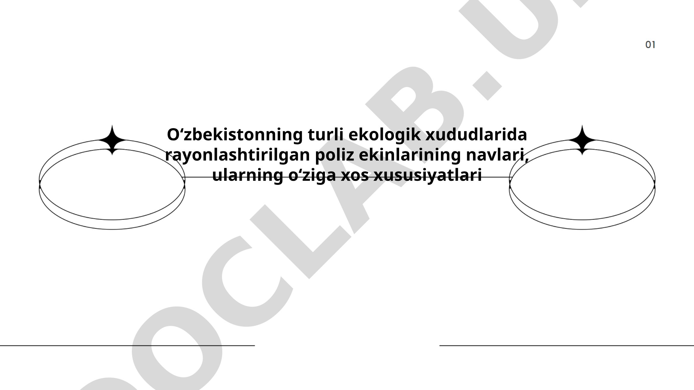 Oʻzbekistonning turli ekologik xududlarida rayonlashtirilgan poliz ekinlarining navlari va xususiyatlari