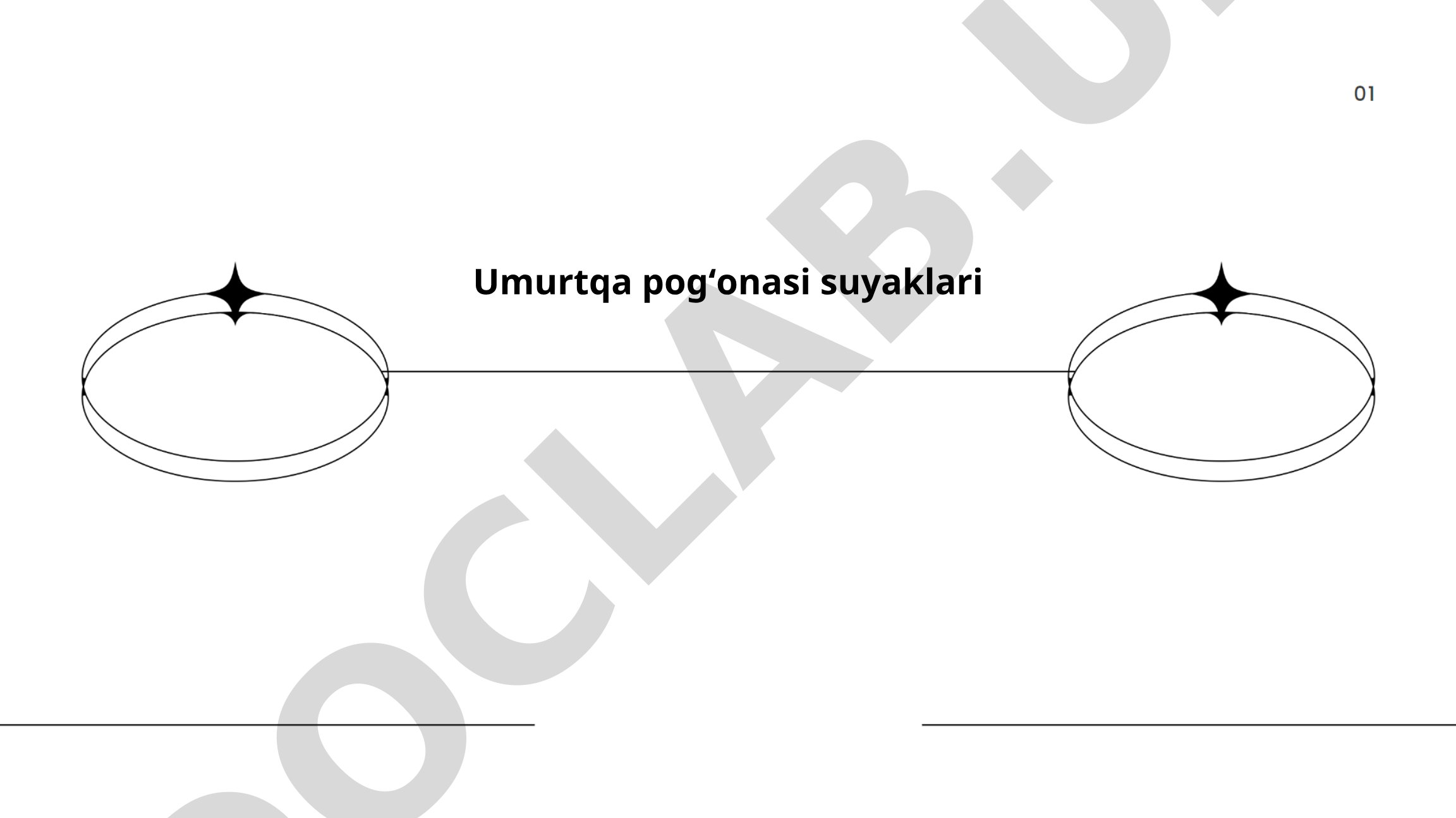 Umurtqa pogʻonasi suyaklari