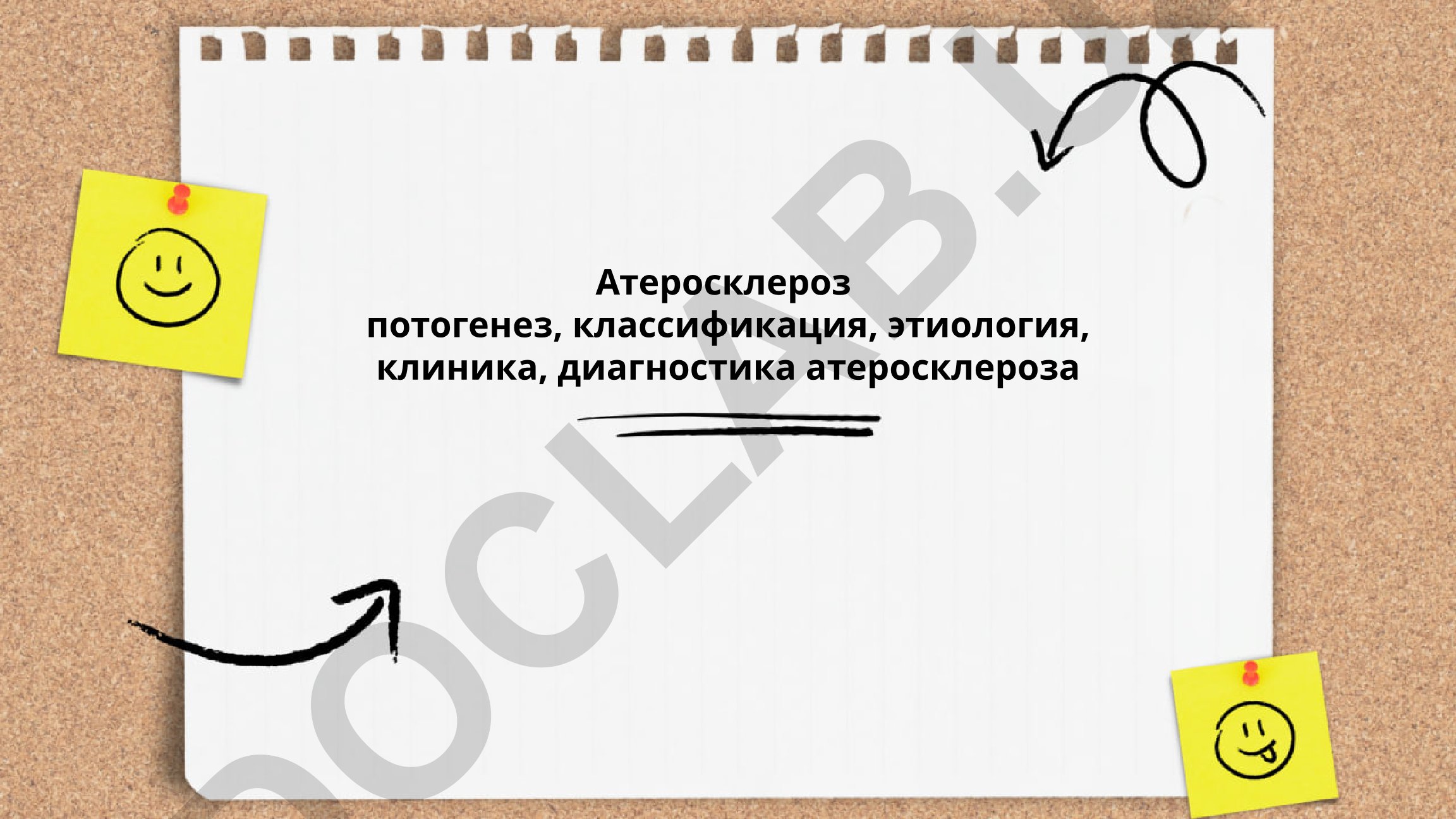Атеросклероз: патогенез, классификация, этиология, клиника, диагностика