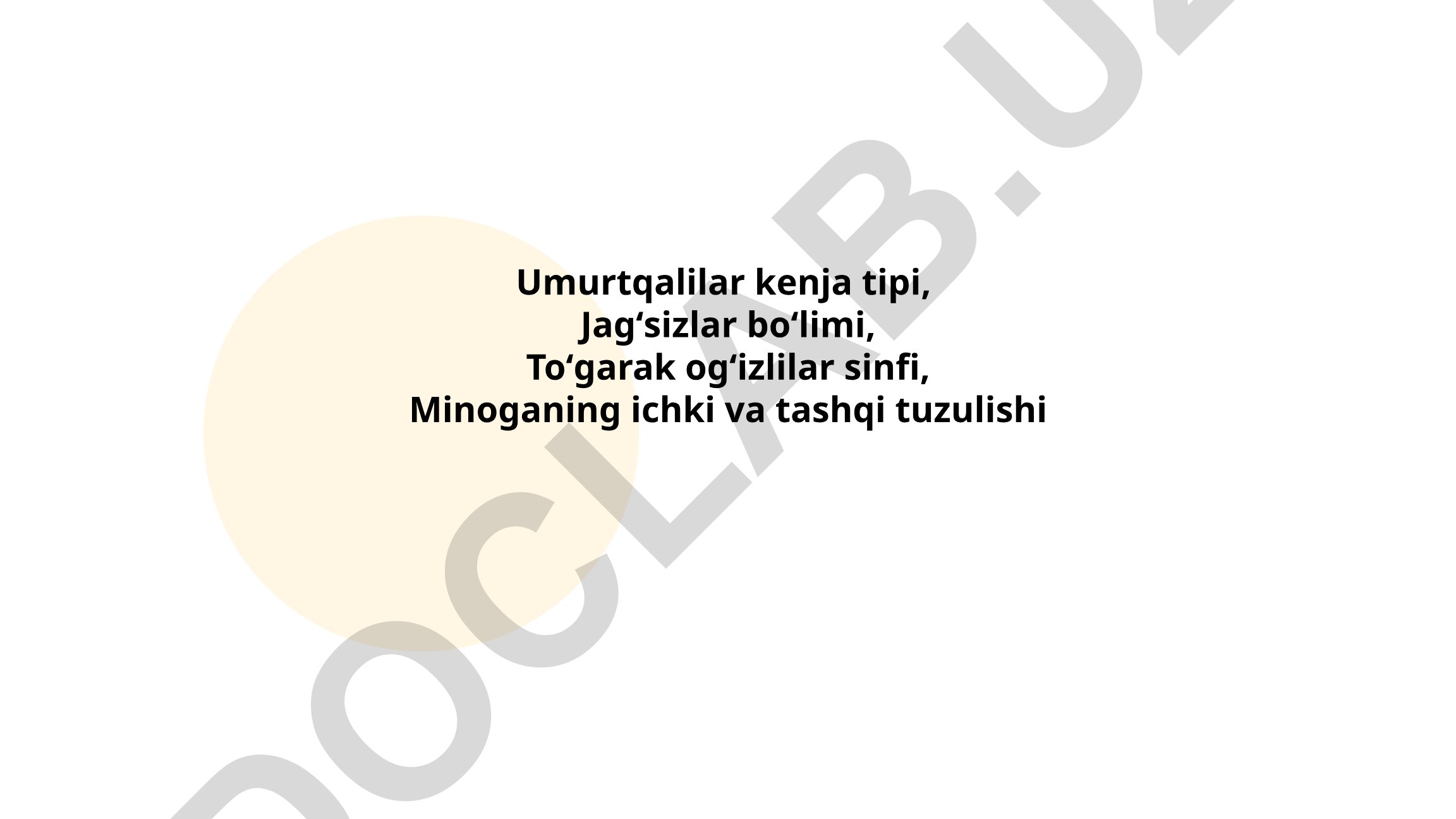 Umurtqalilar kenja tipi, Jagʻsizlar boʻlimi, Toʻgarak ogʻizlilar sinfi va Minoga