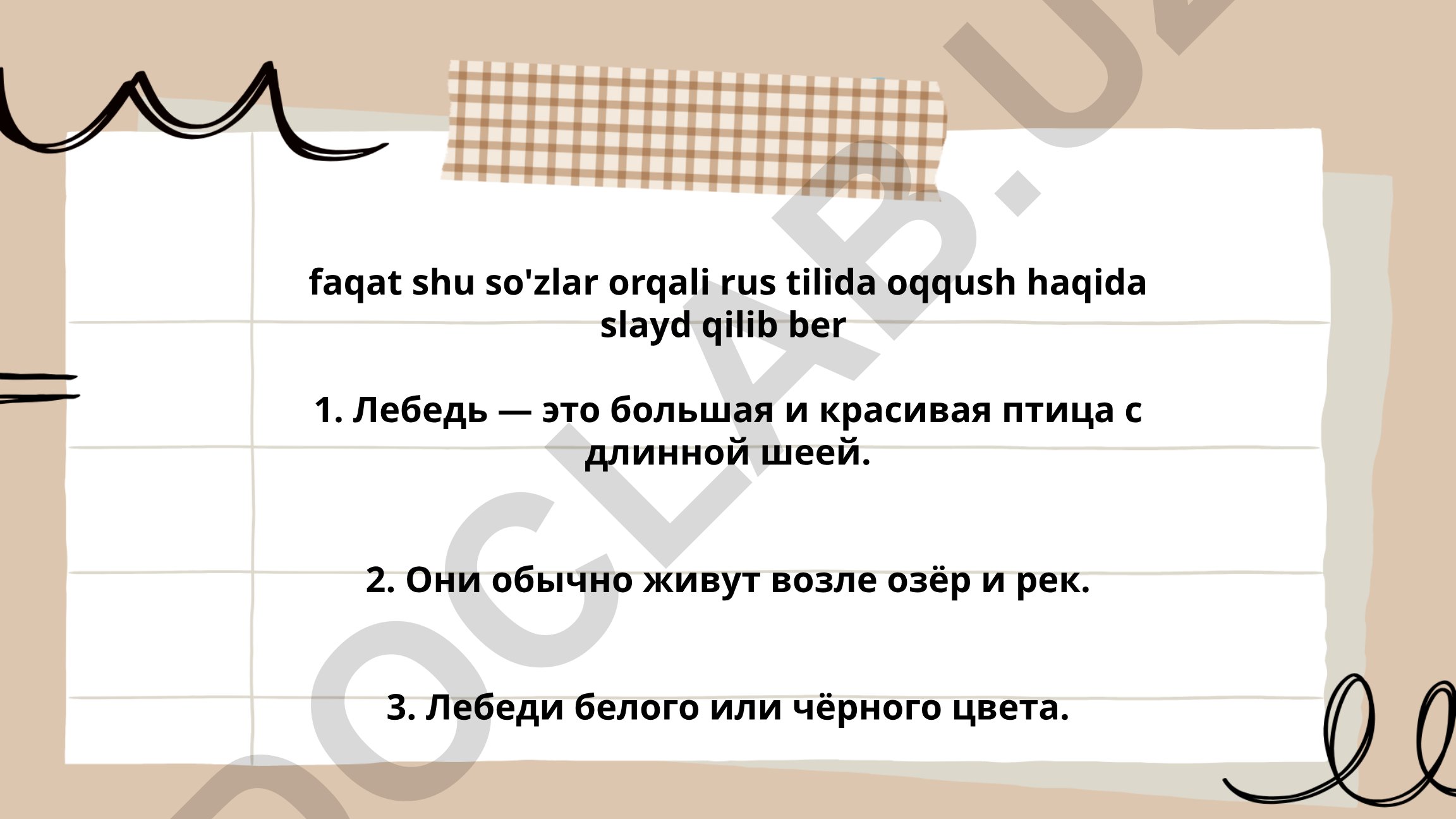 Виды лебедей и их особенности
