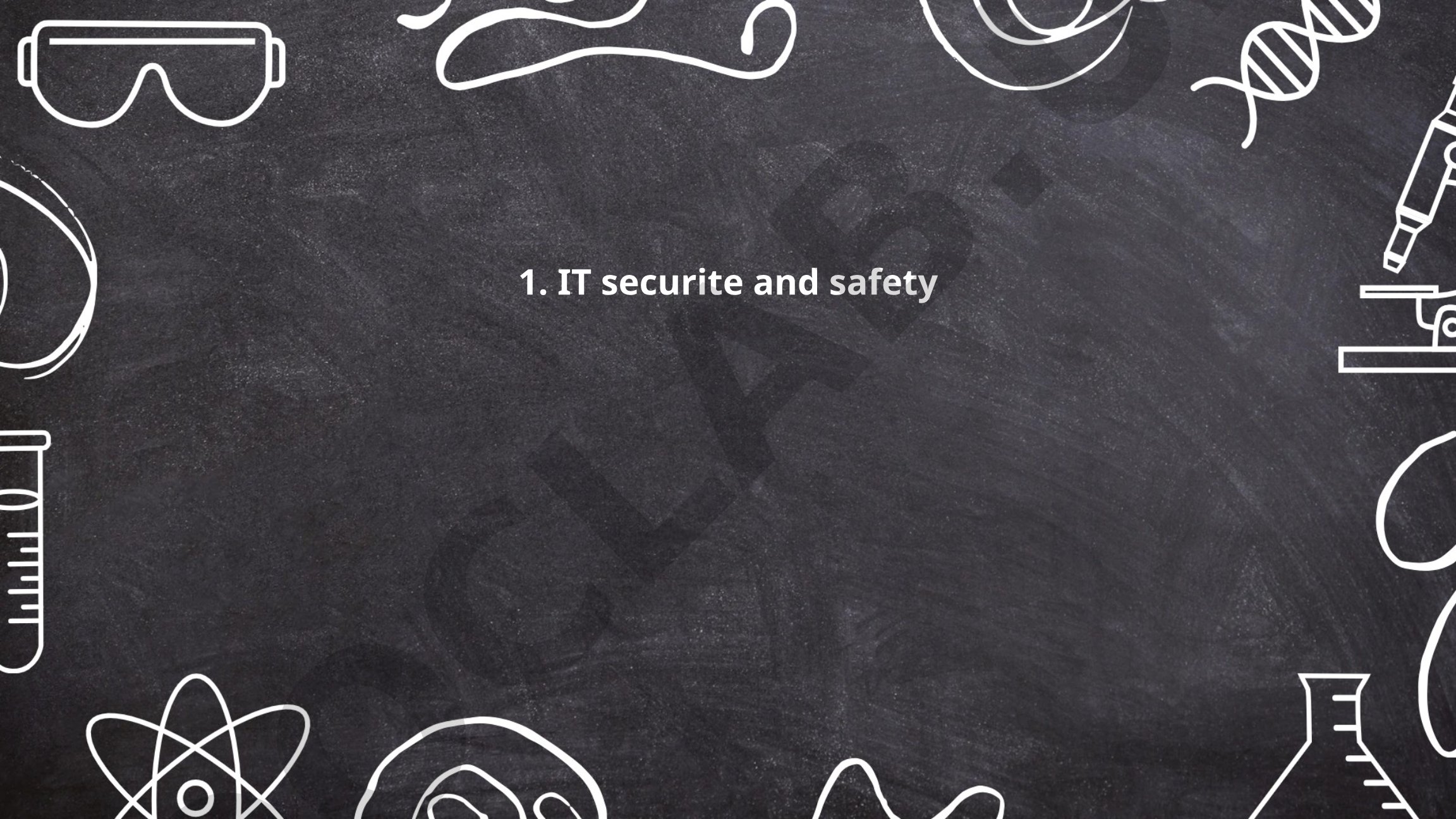 IT Security and Safety