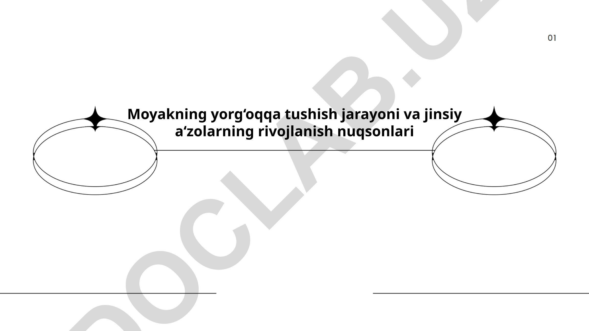 Moyakning yorg‘oqqa tushish jarayoni va jinsiy a‘zolarning rivojlanish nuqsonlari