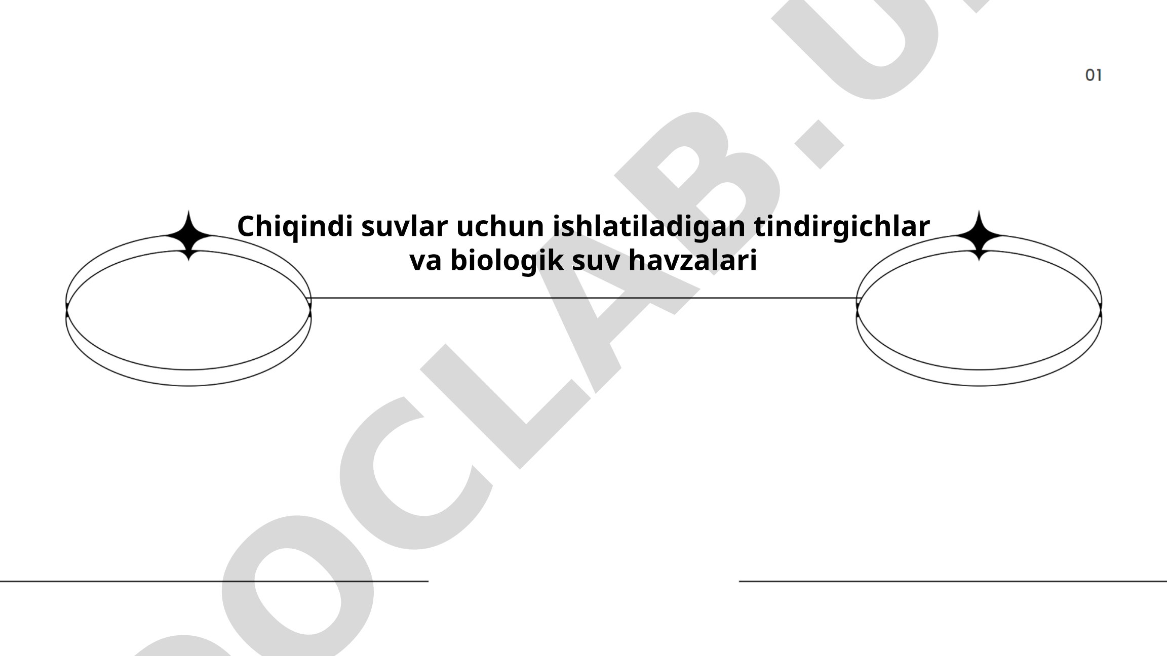 Chiqindi suvlar uchun tindirgichlar va biologik suv havzalari