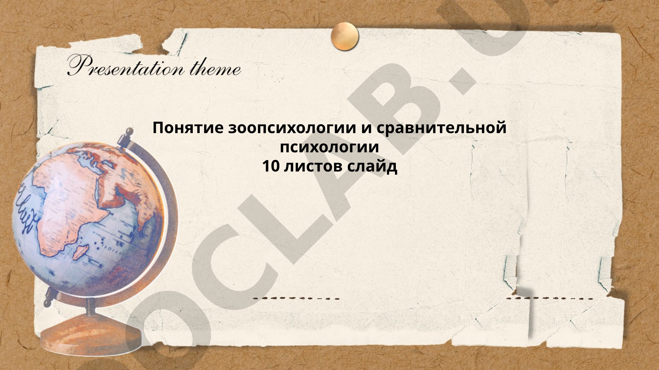 Зоопсихология и сравнительная психология: понятие, история и методы