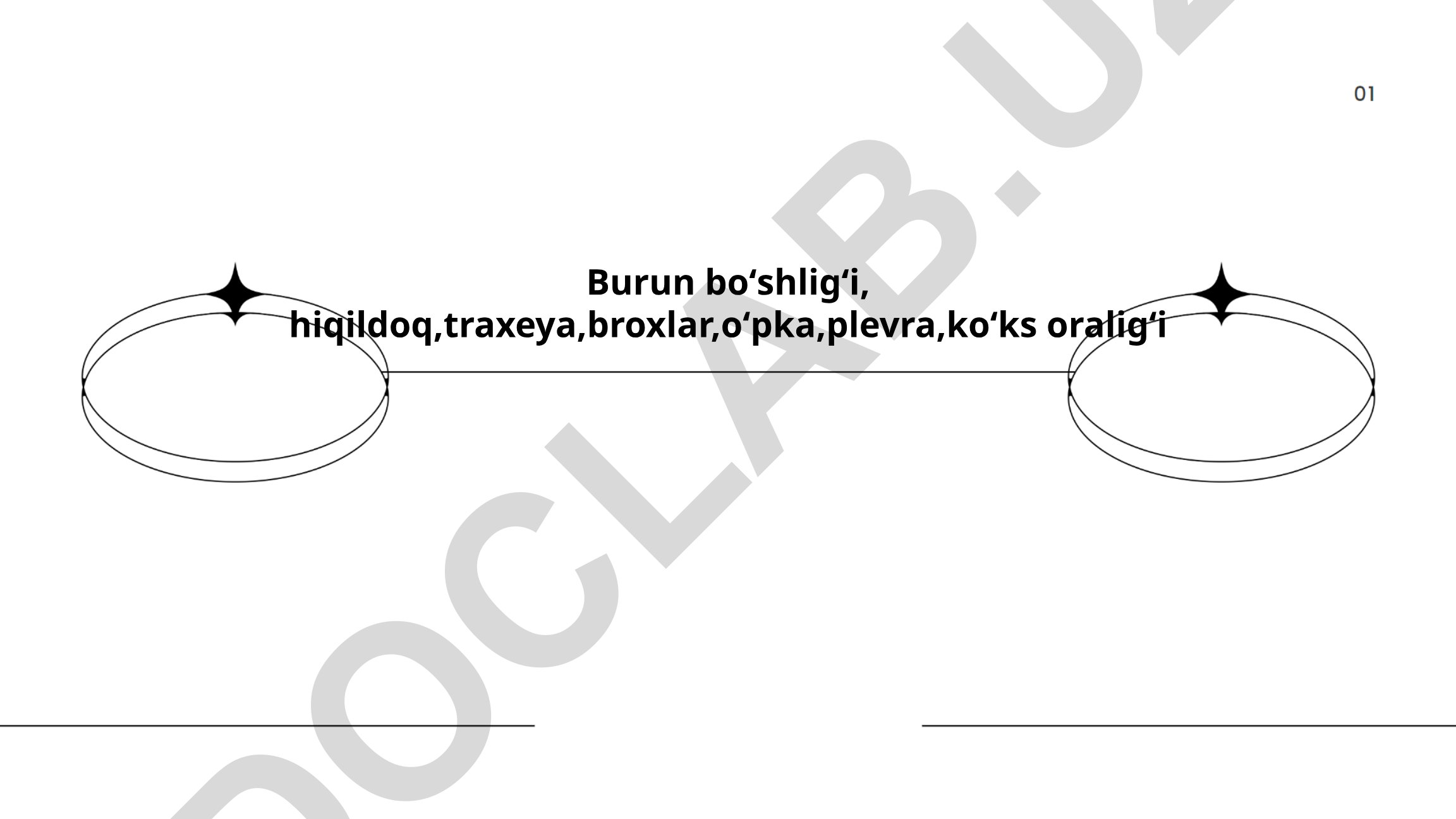 Burun boʻshligʻi va nafas yoʻllarining anatomiyasi va fiziologiyasi