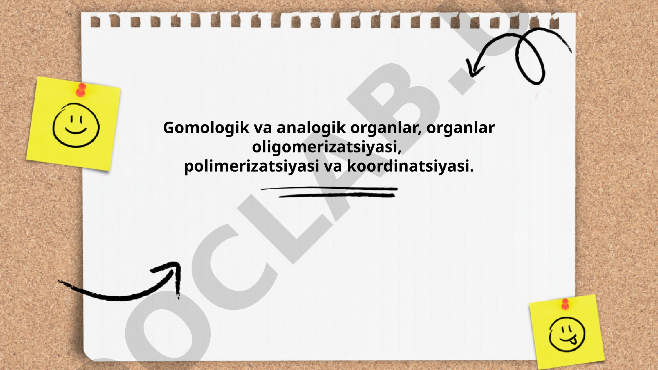 Gomologik va analogik organlar, organlar oligomerizatsiyasi, polimerizatsiyasi va koordinatsiyasi