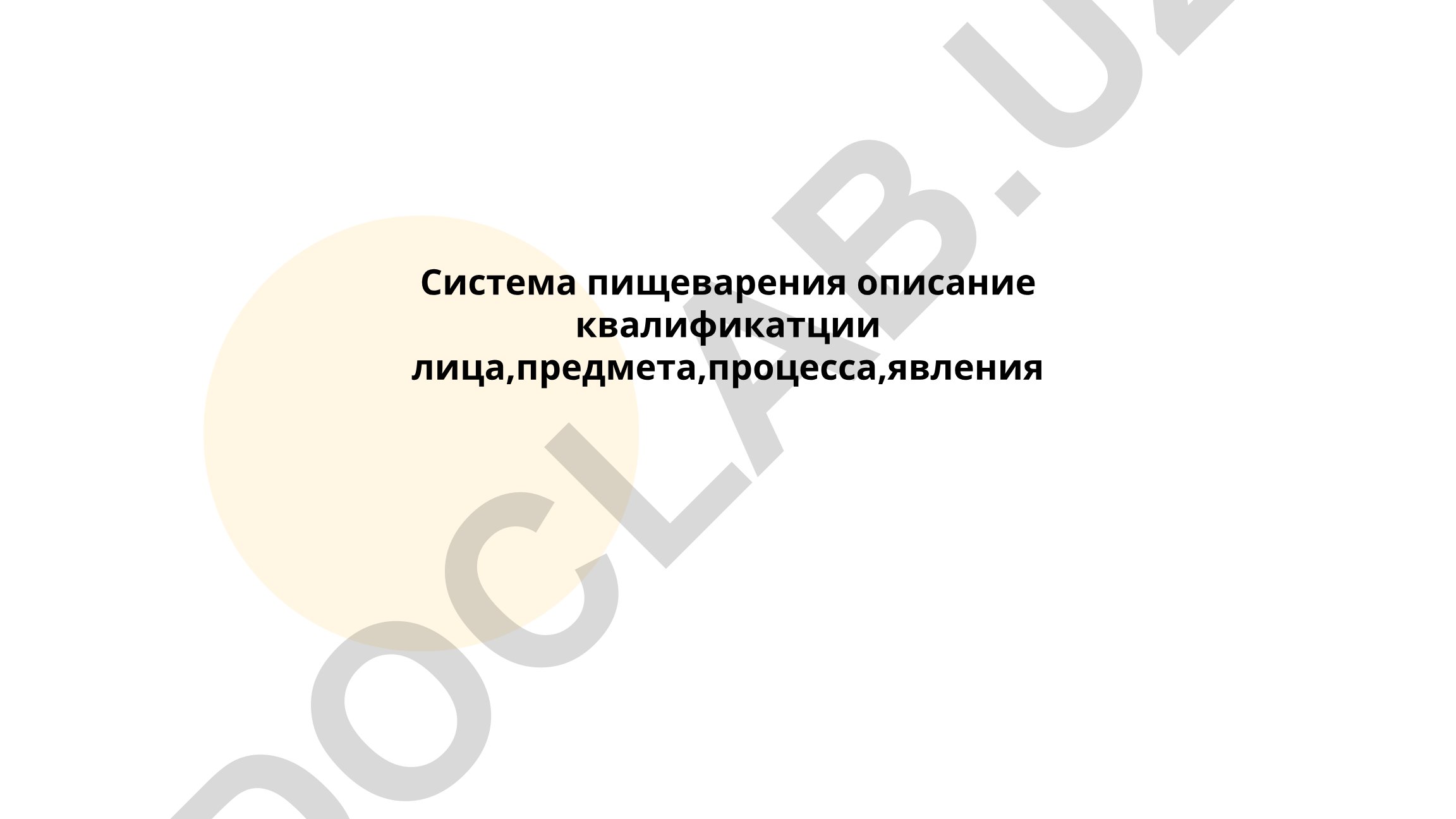 Анатомия и функции пищеварительной системы человека