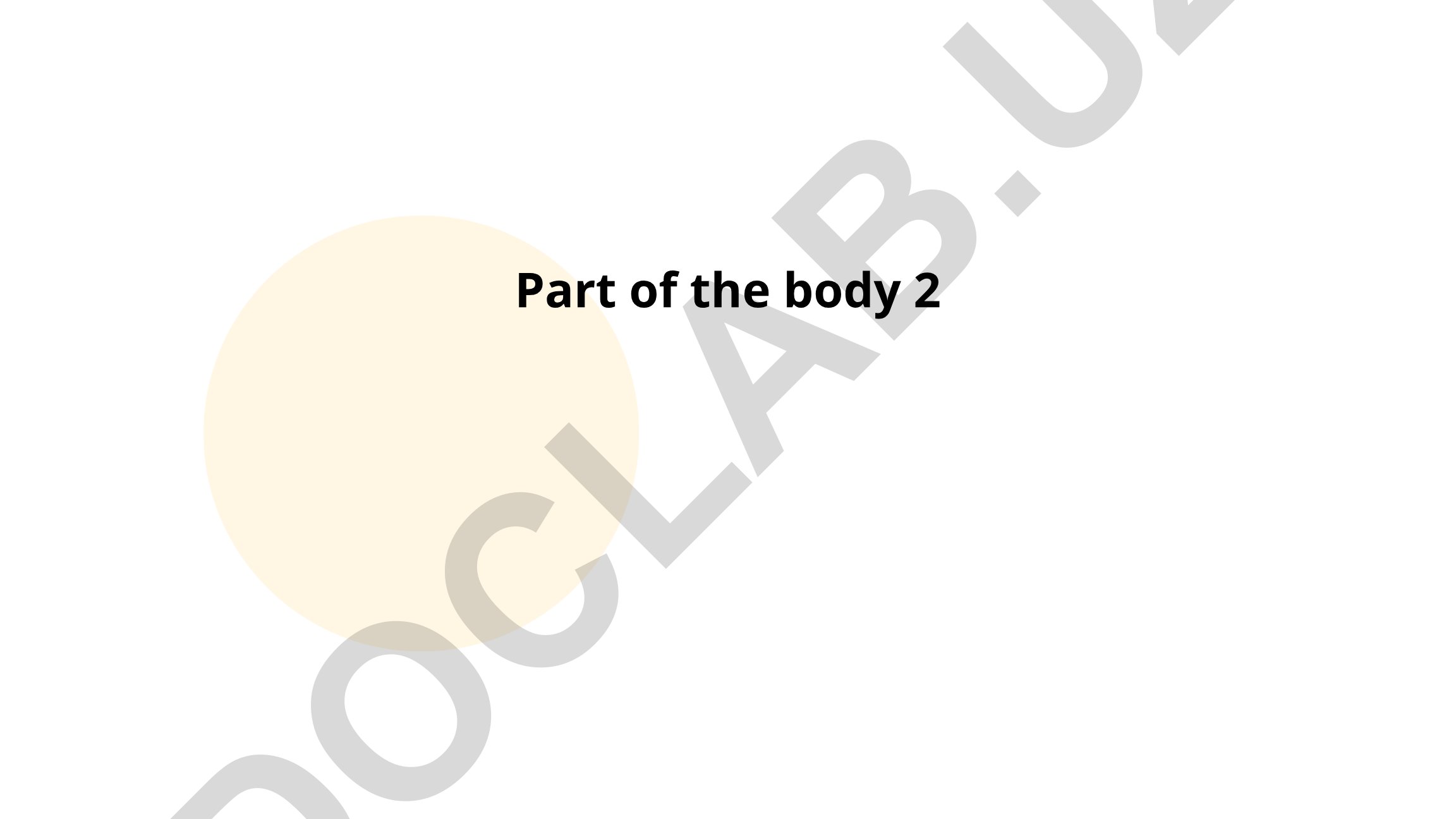 Skeletal and Muscular Systems in Human Anatomy