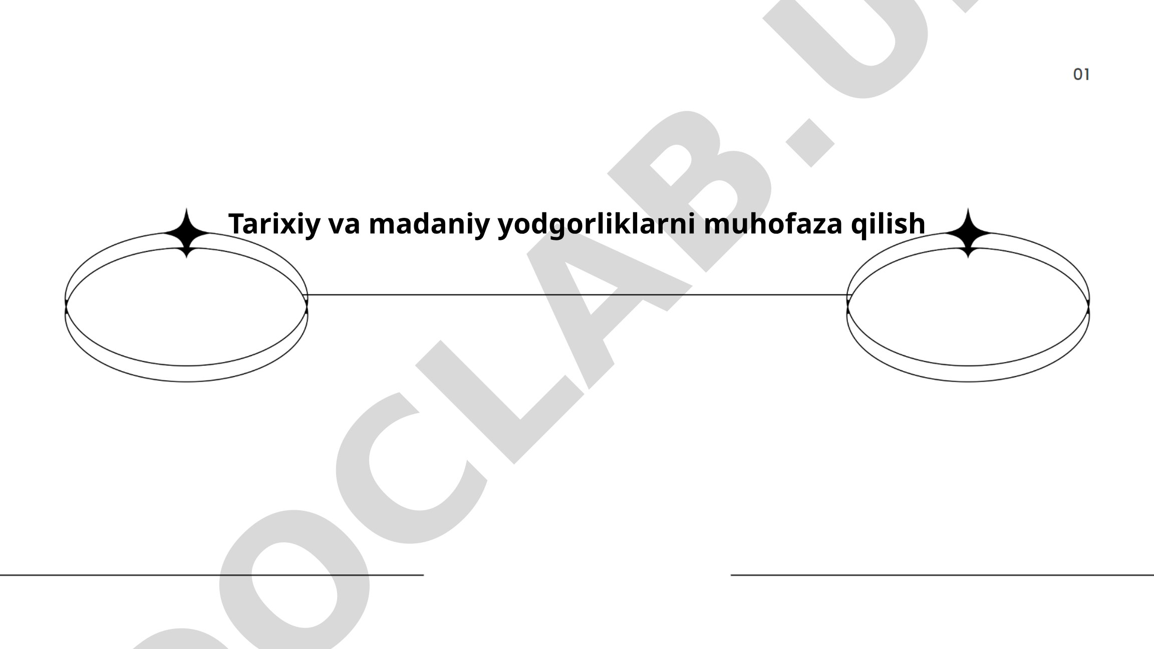 Tarixiy va madaniy yodgorliklarni muhofaza qilish