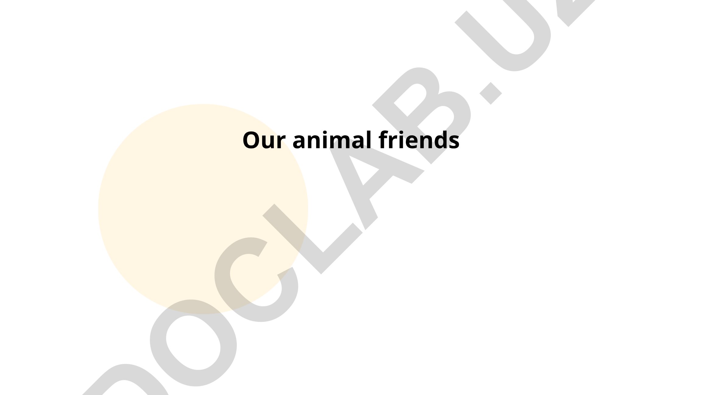Our animal friends