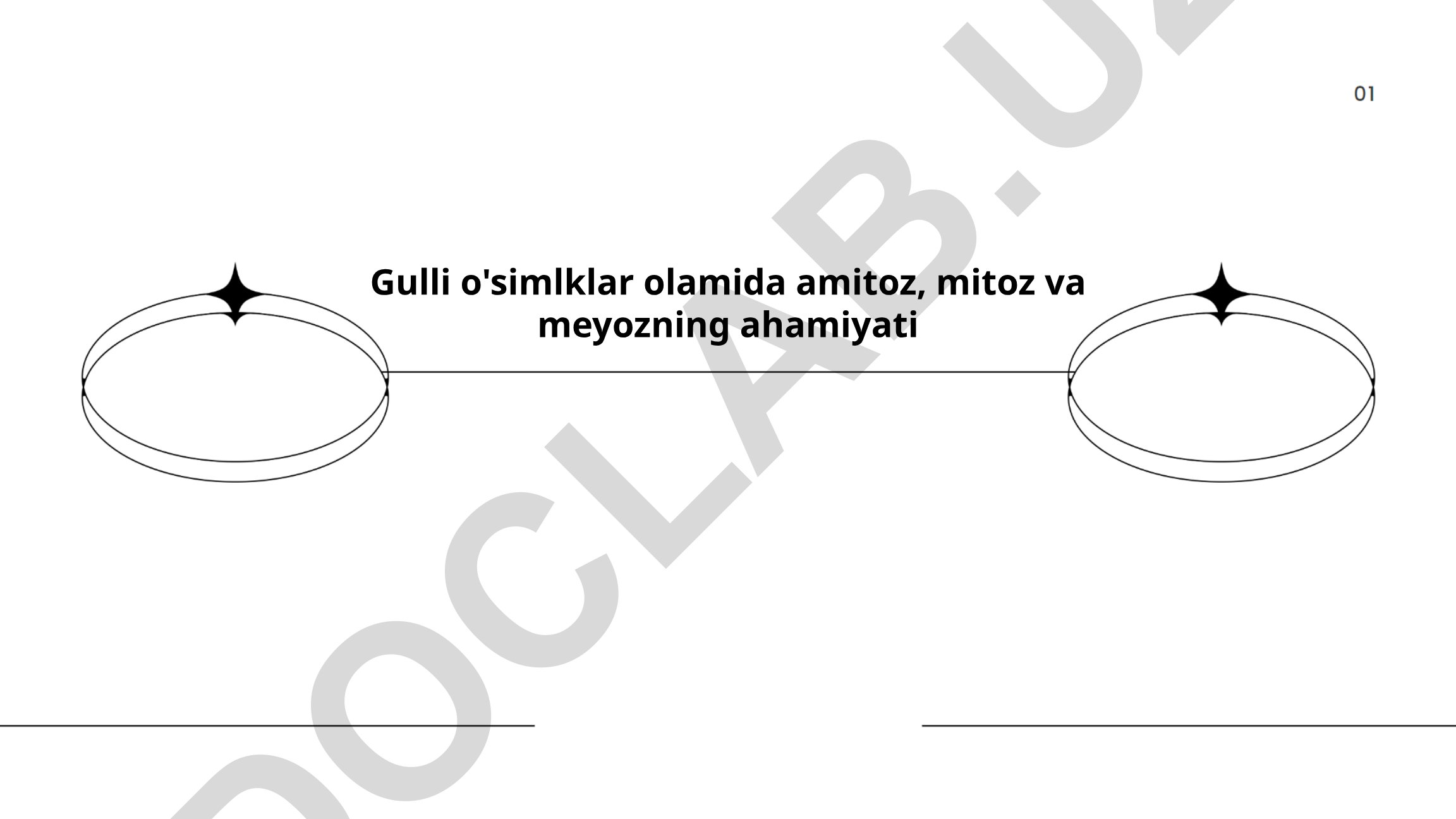 Gulli o'simlklar olamida amitoz, mitoz va meyozning ahamiyati