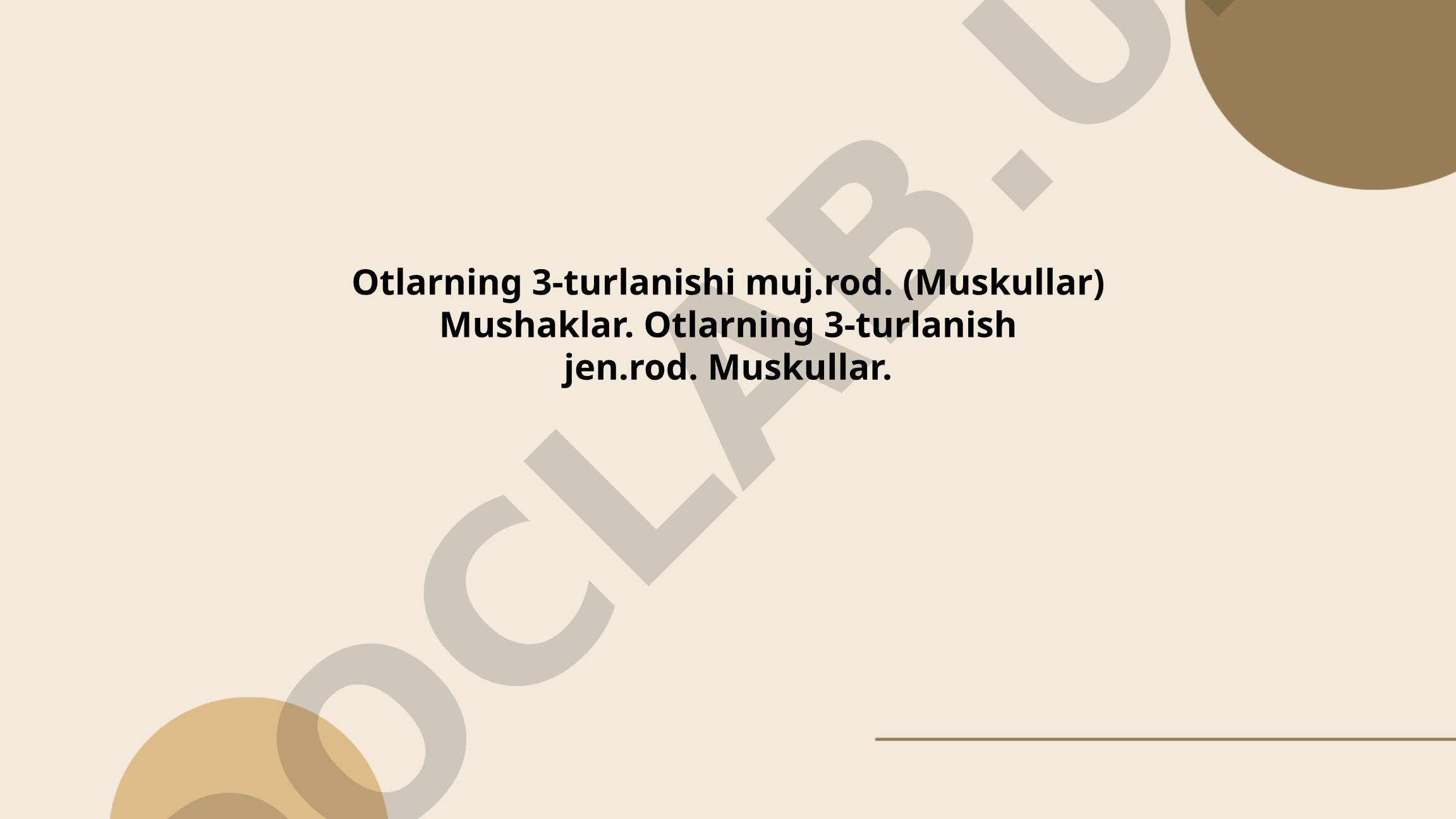 Otlarning 3-turlanishi (Muskullar) Mushaklar