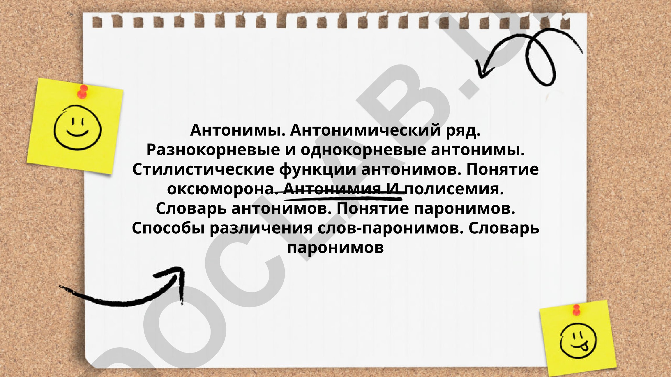 Антонимы и паронимы в русском языке: виды, функции и словари