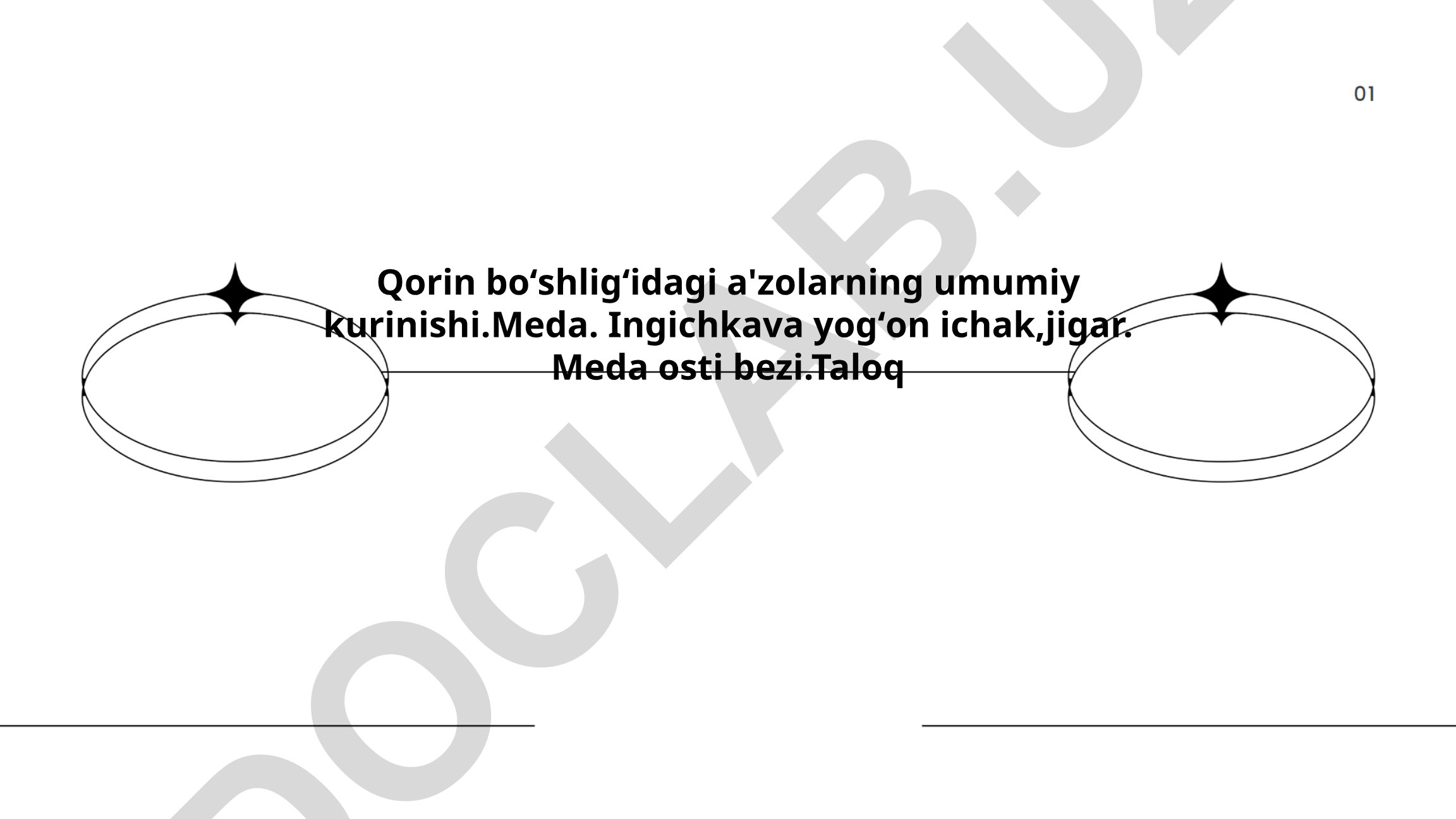 Qorin bo'shlig'i anatomiyasi va me'da tuzilishi
