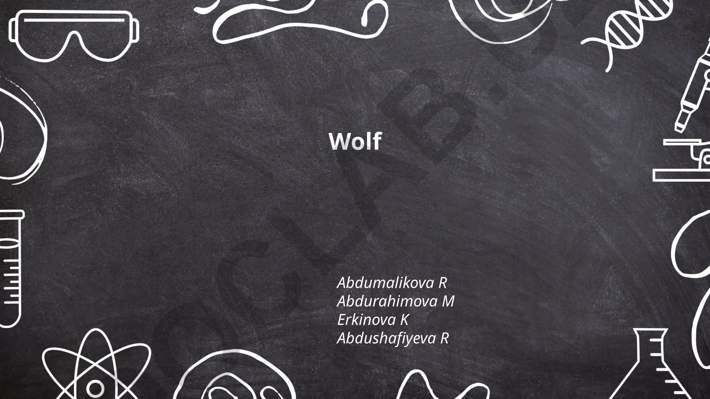 Wolf Behavior and Pack Dynamics