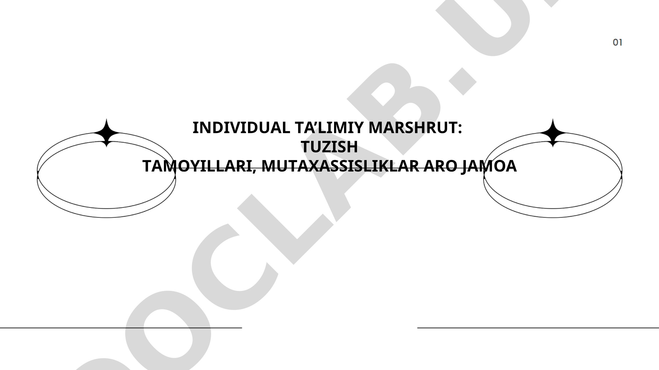 Individual ta’limiy marshrut tuzish tamoyillari va mutaxassisliklar