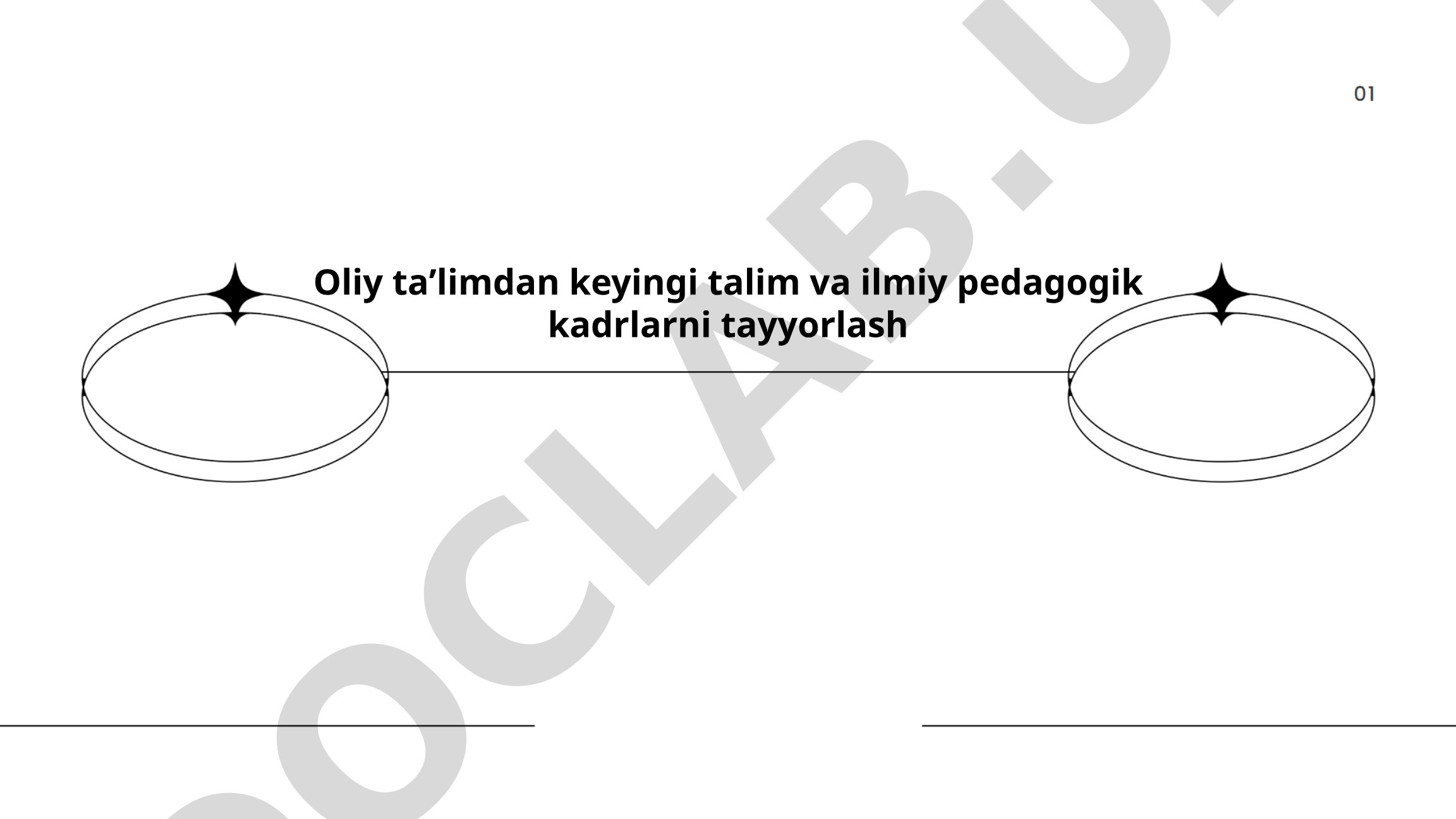 Oliy ta'limdan keyingi ta'lim va ilmiy pedagogik kadrlarni tayyorlash
