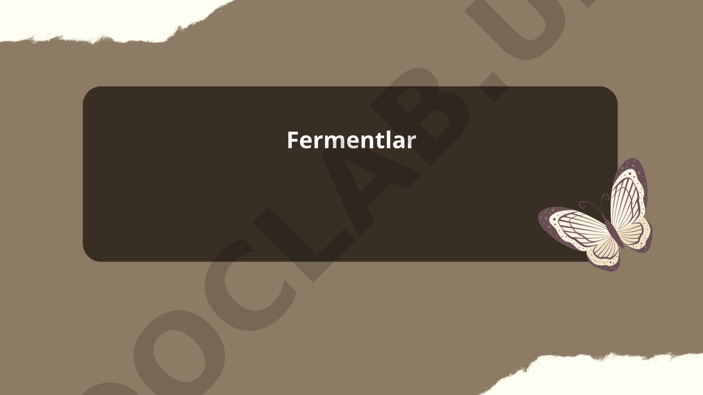 Fermentlar va ularning vazifalari