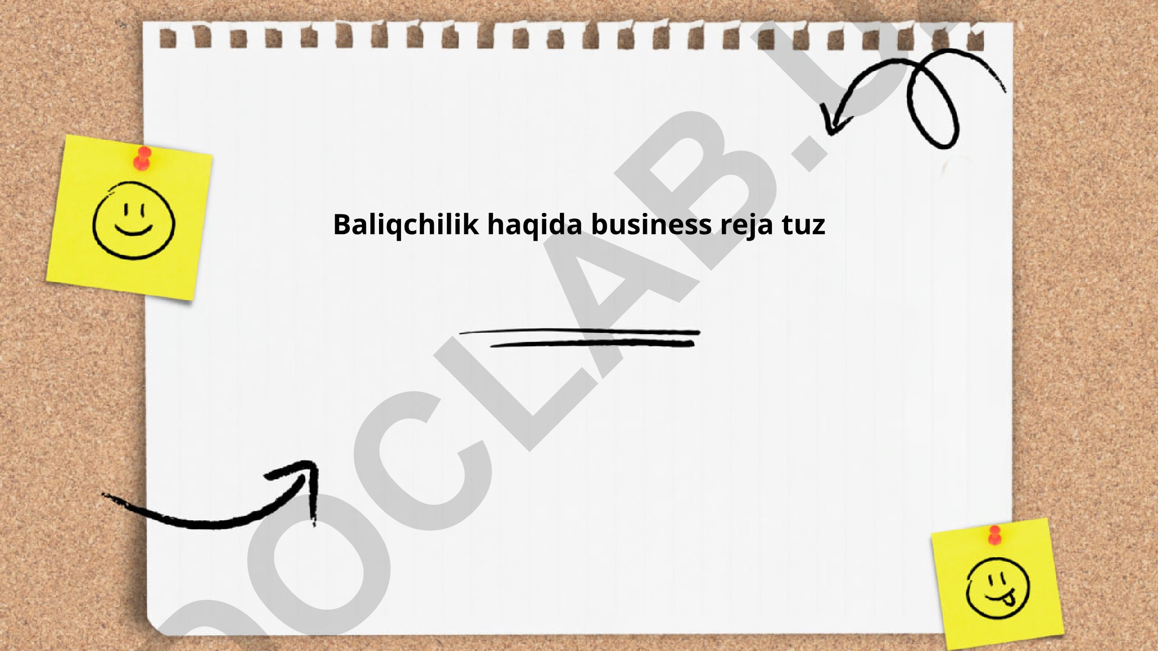 Baliqchilik biznes rejasi