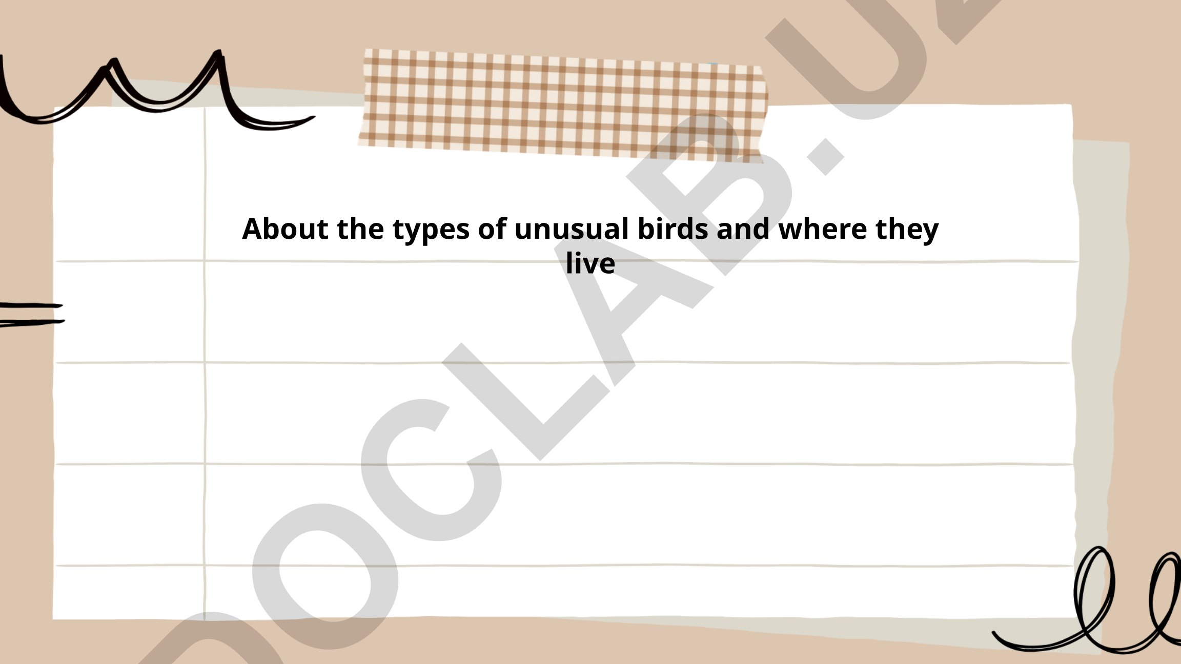 About the types of unusual birds and where they live