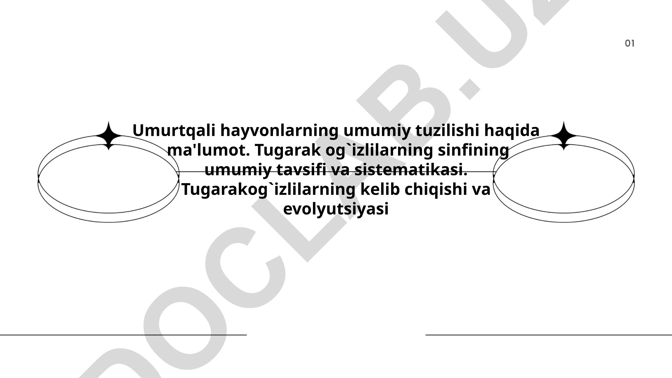 Umurtqali hayvonlarning umumiy tuzilishi va tugarak og'izlilar