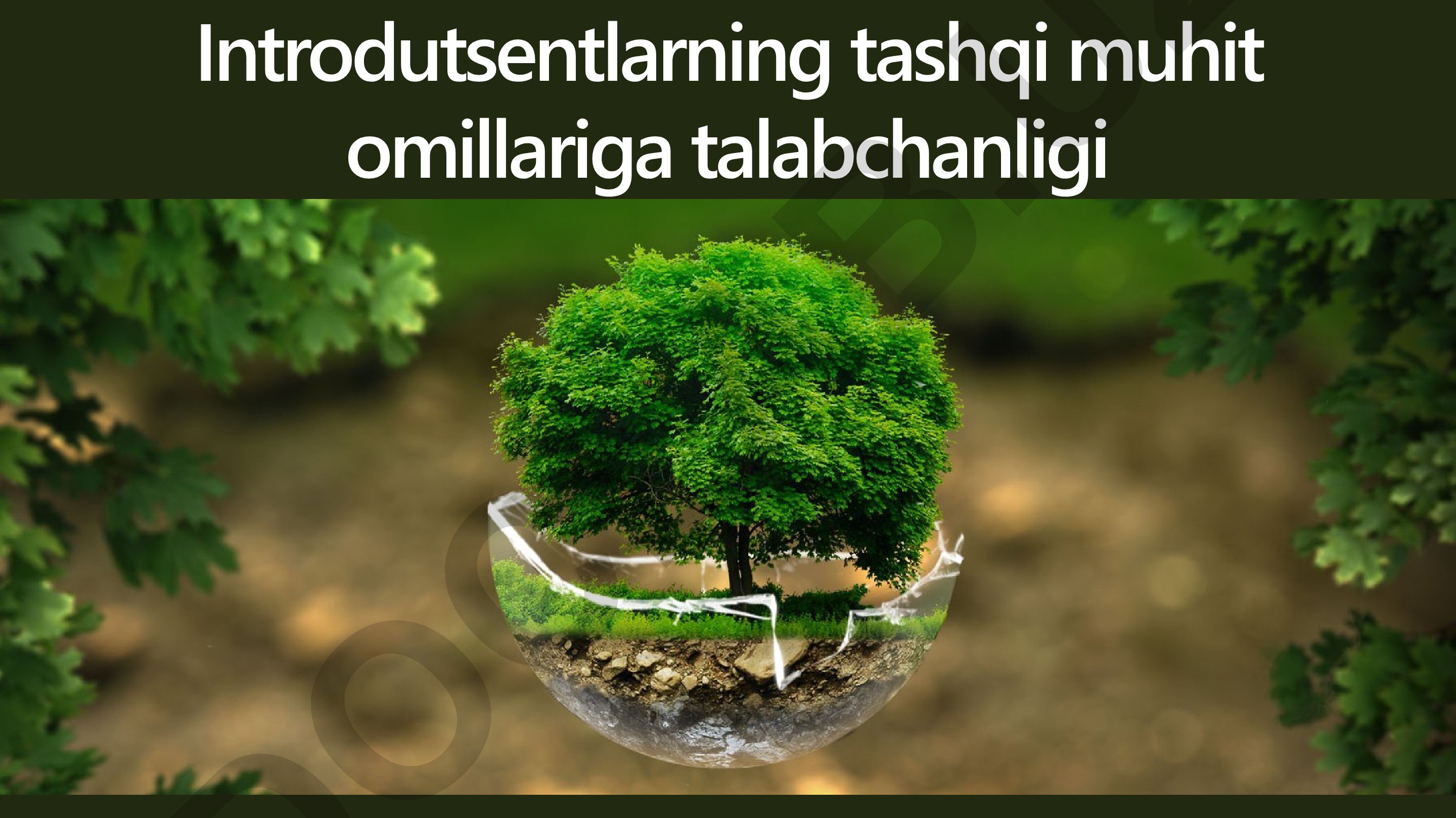 Introdutsentlarning tashqi muhit omillariga talabchanligi