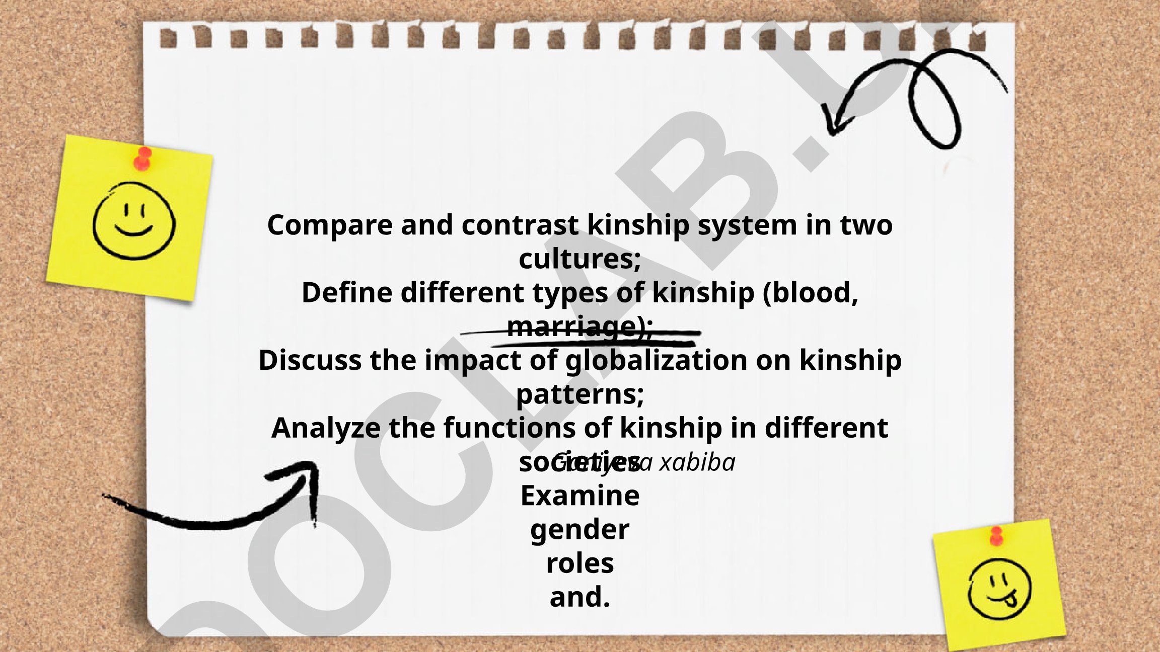 Kinship Systems Comparison and Analysis