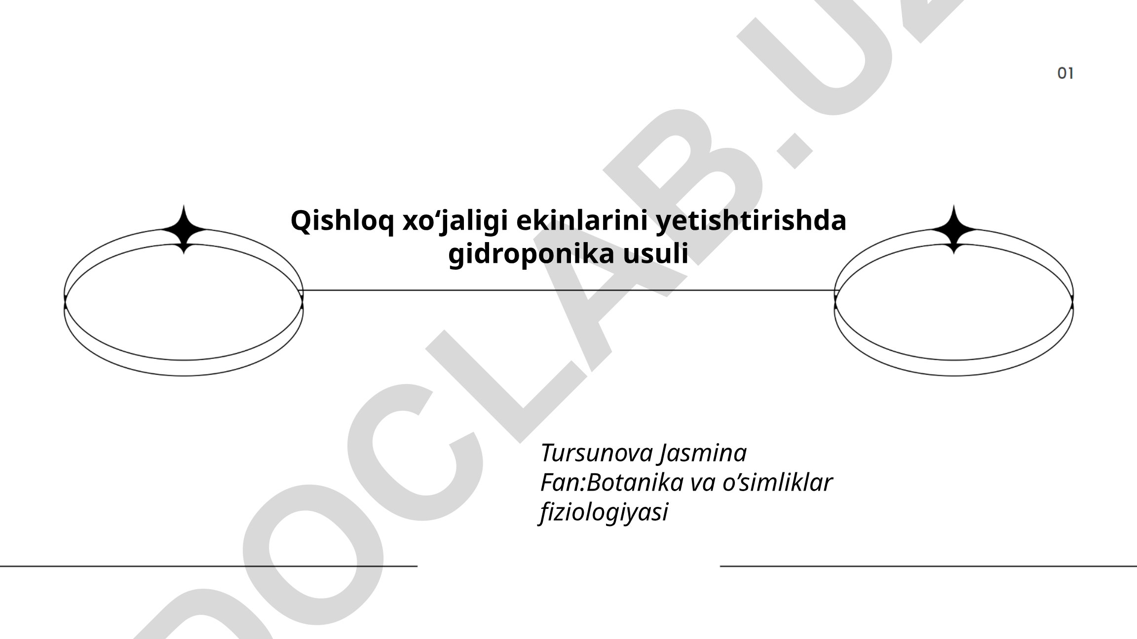 Qishloq xo‘jaligi ekinlarini yetishtirishda gidroponika usuli