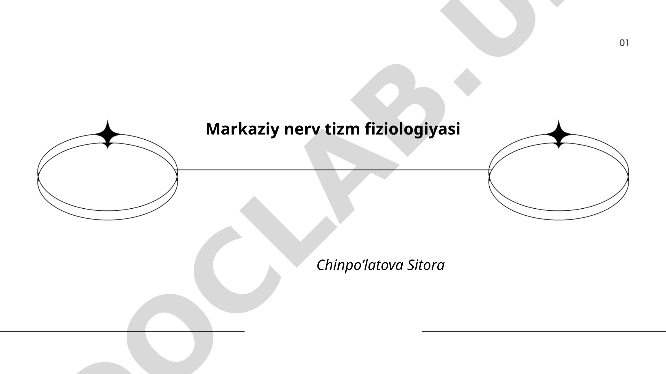Markaziy nerv tizimi fiziologiyasi