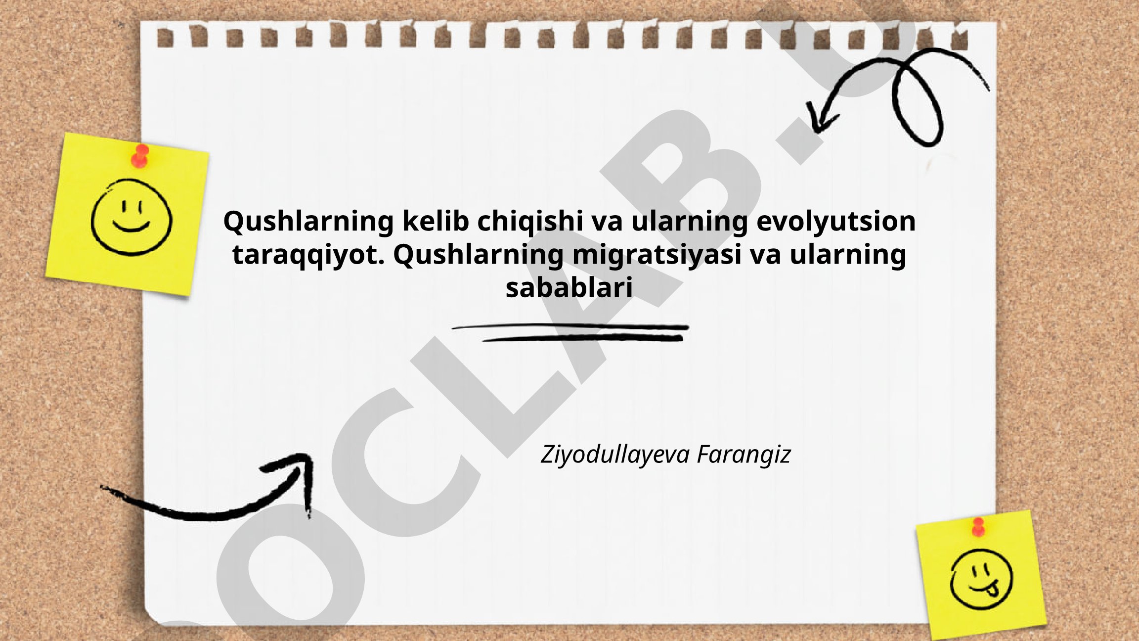 Qushlarning kelib chiqishi va ularning evolyutsion taraqqiyoti