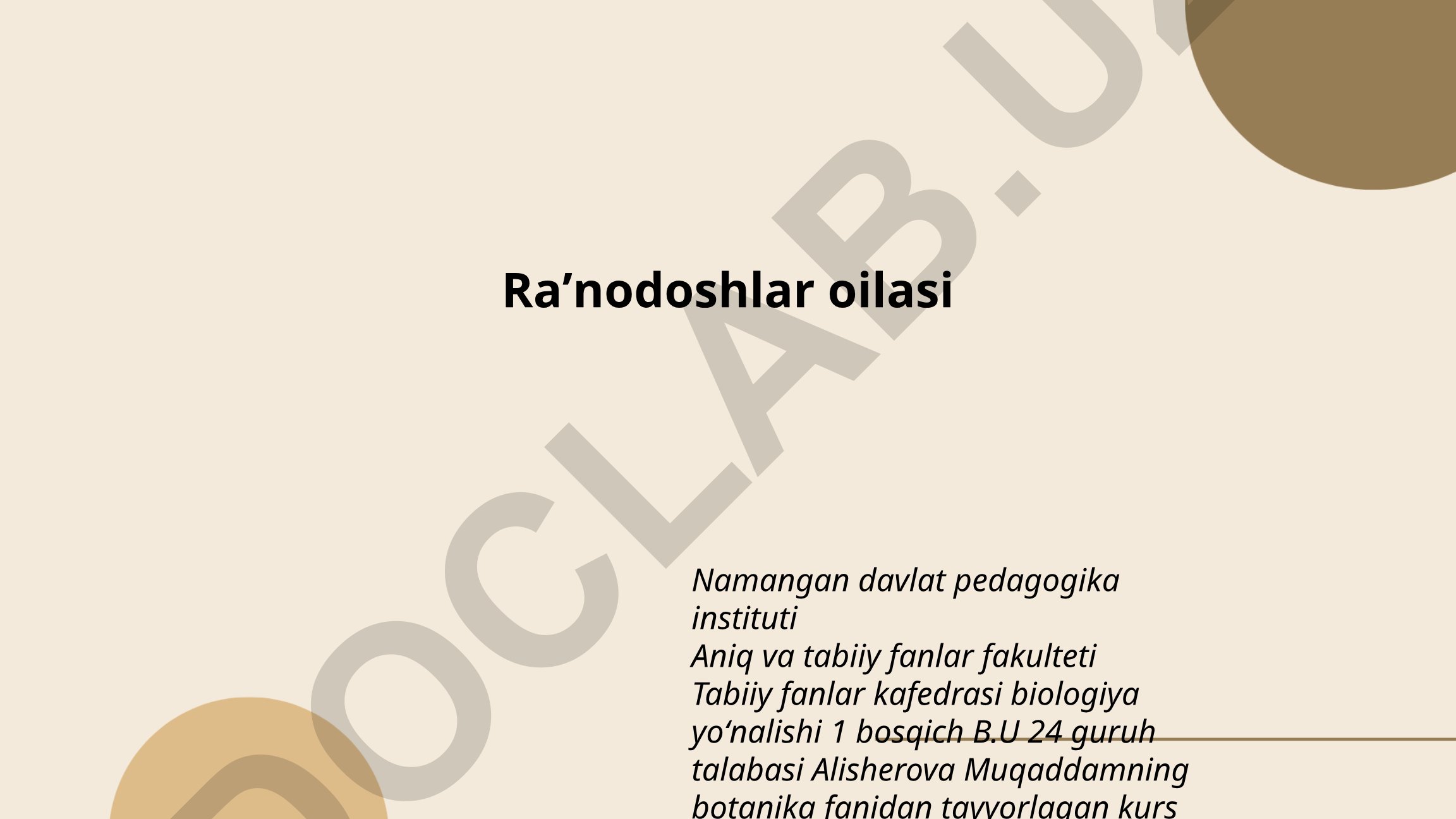 Raʼnodoshlar oilasining kelib chiqishi, anatomik xususiyatlari va ozuqasi