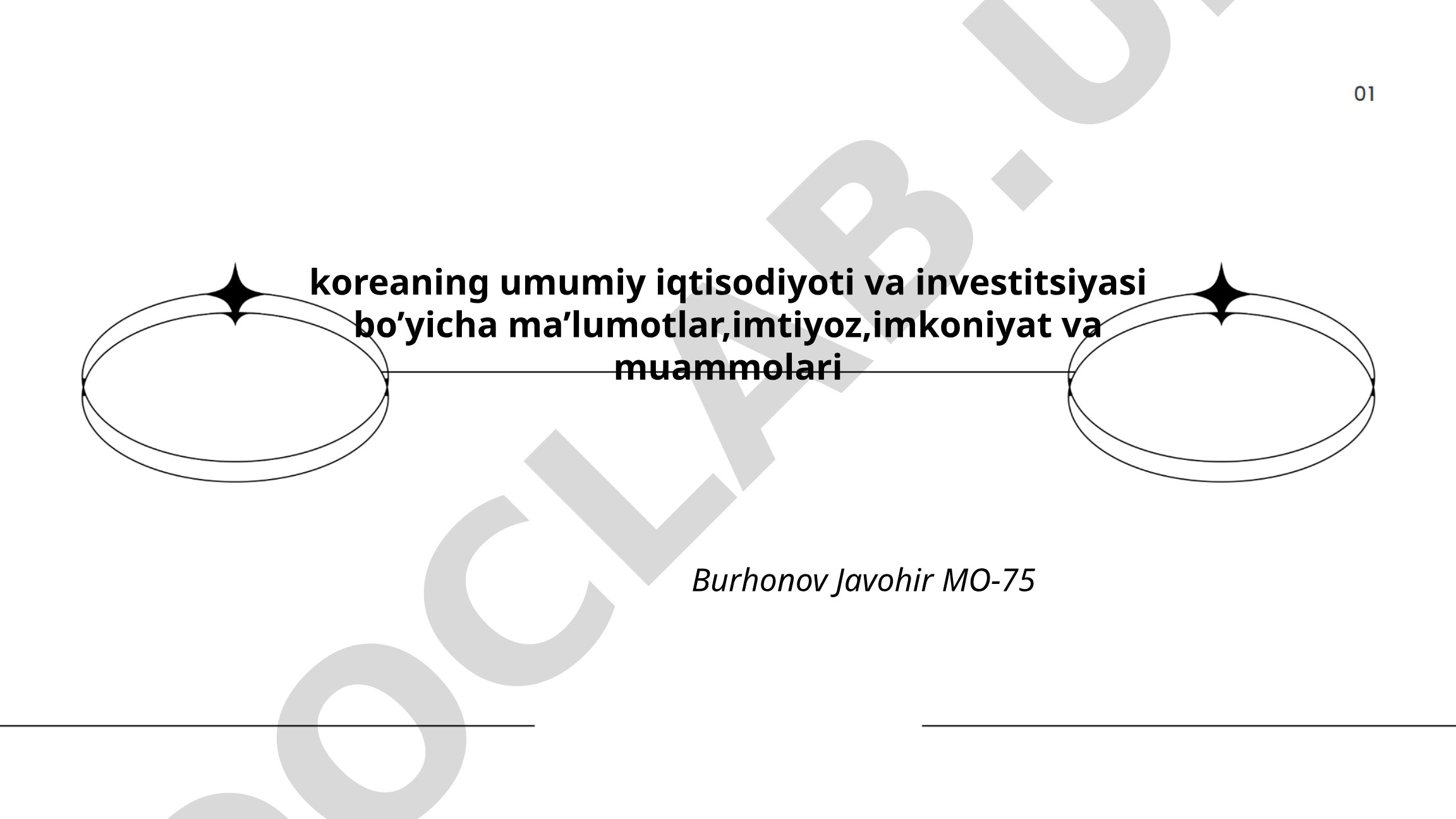 Koreaning umumiy iqtisodiyoti va investitsiyasi bo'yicha ma'lumotlar, imtiyoz, imkoniyat va muammolari