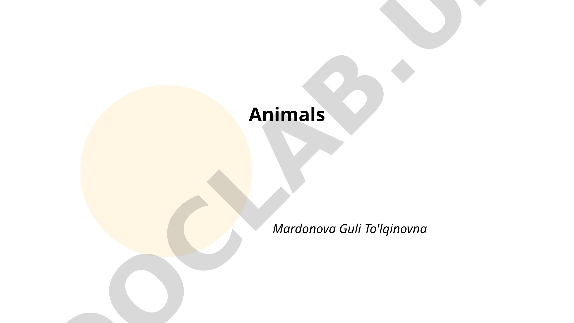 Animal Conservation, Habitats and Ecosystems