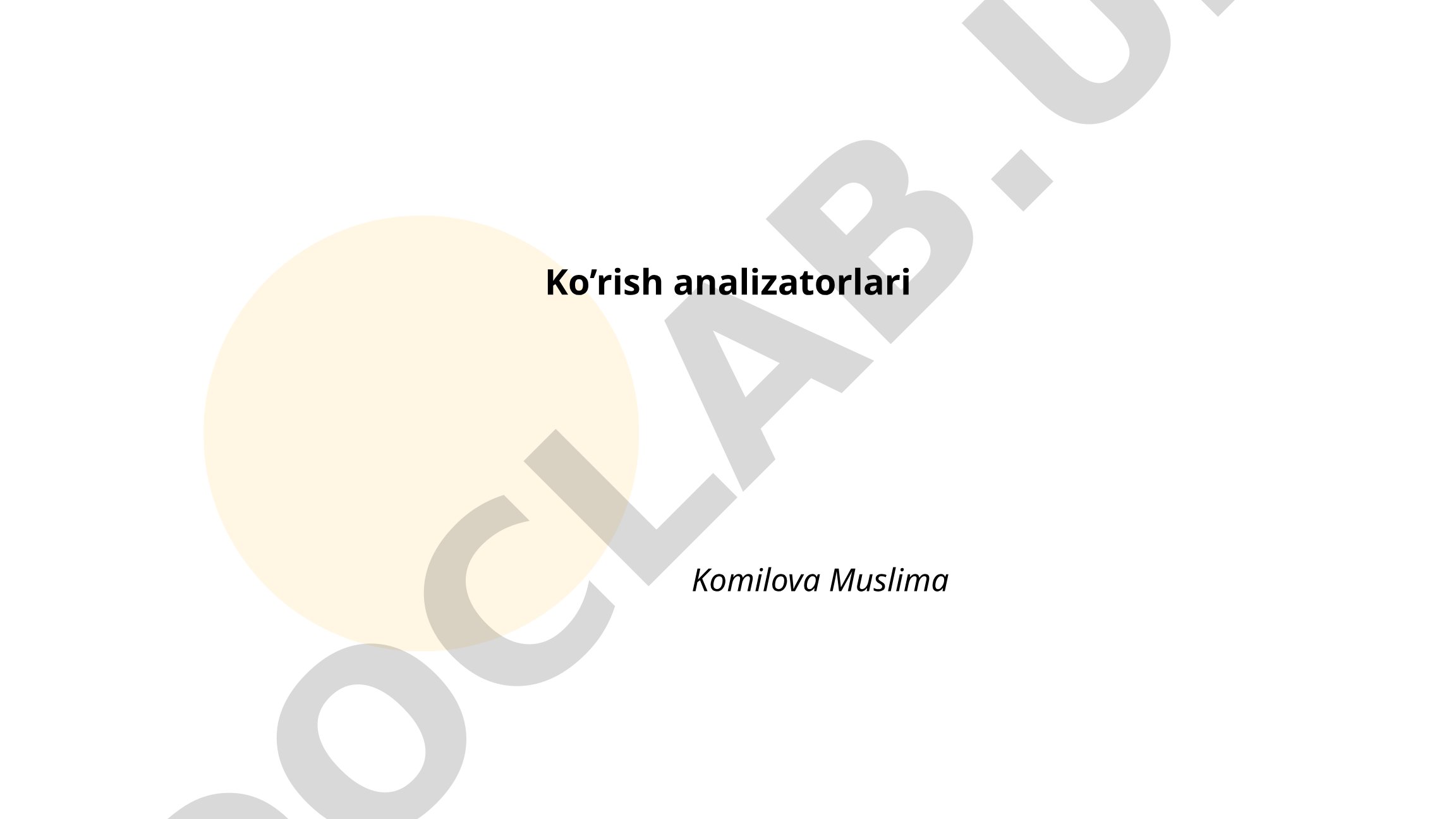Ko'rish analizatorlari
