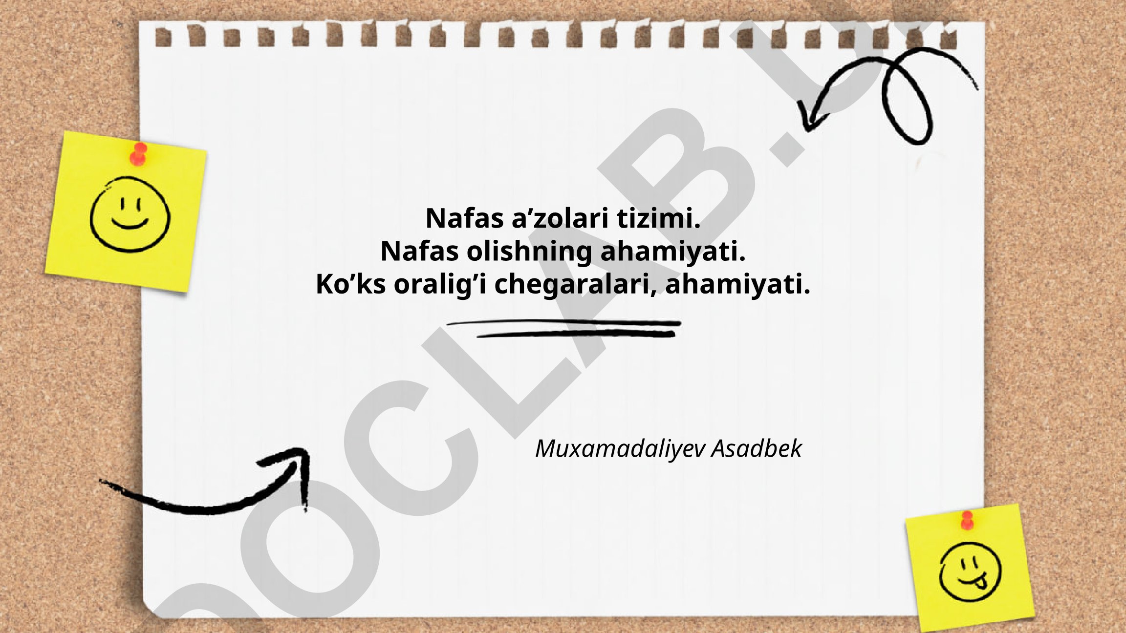 Nafas a'zolari tizimi va nafas olishning ahamiyati