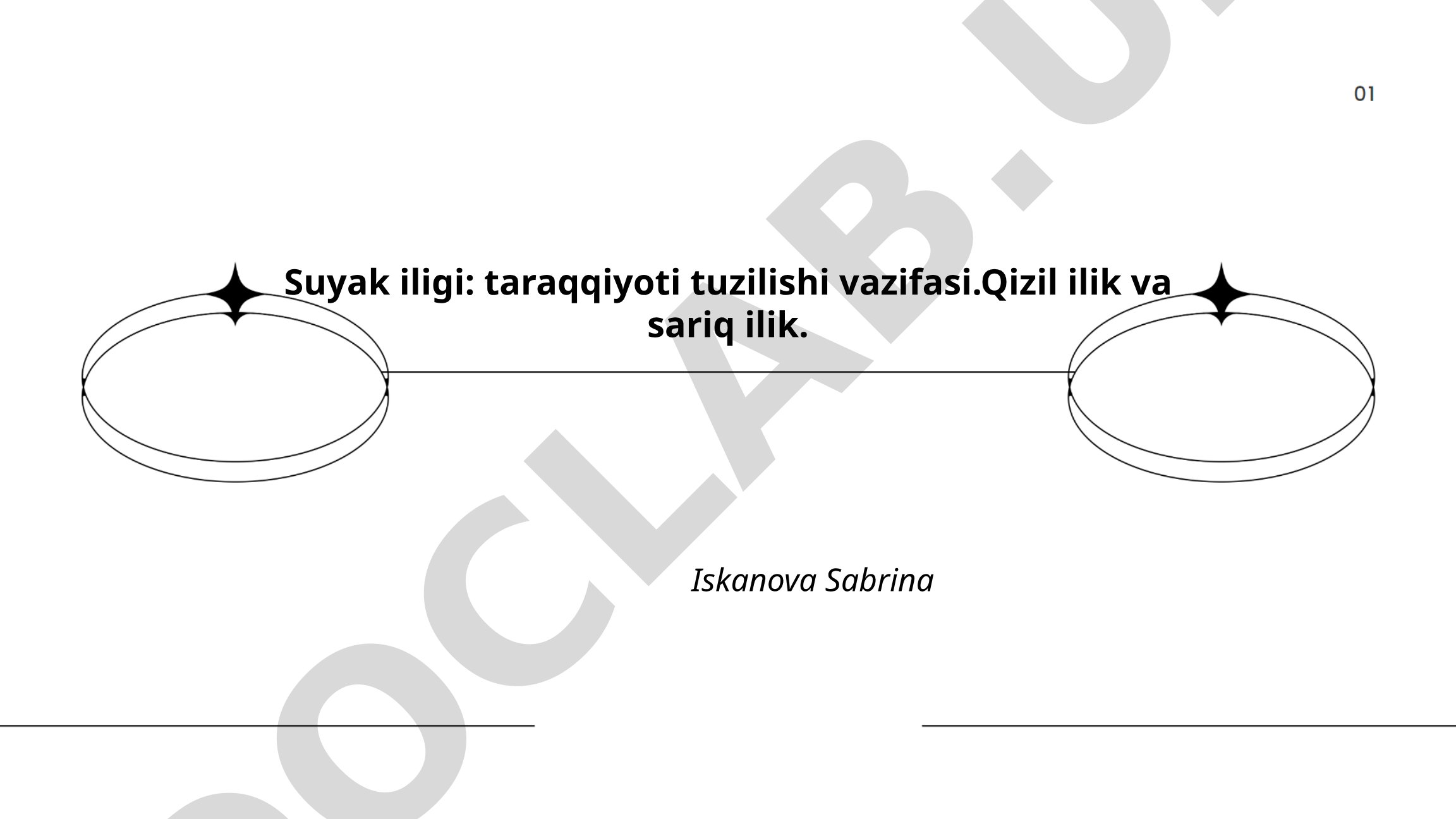 Suyak iligi: taraqqiyoti tuzilishi vazifasi