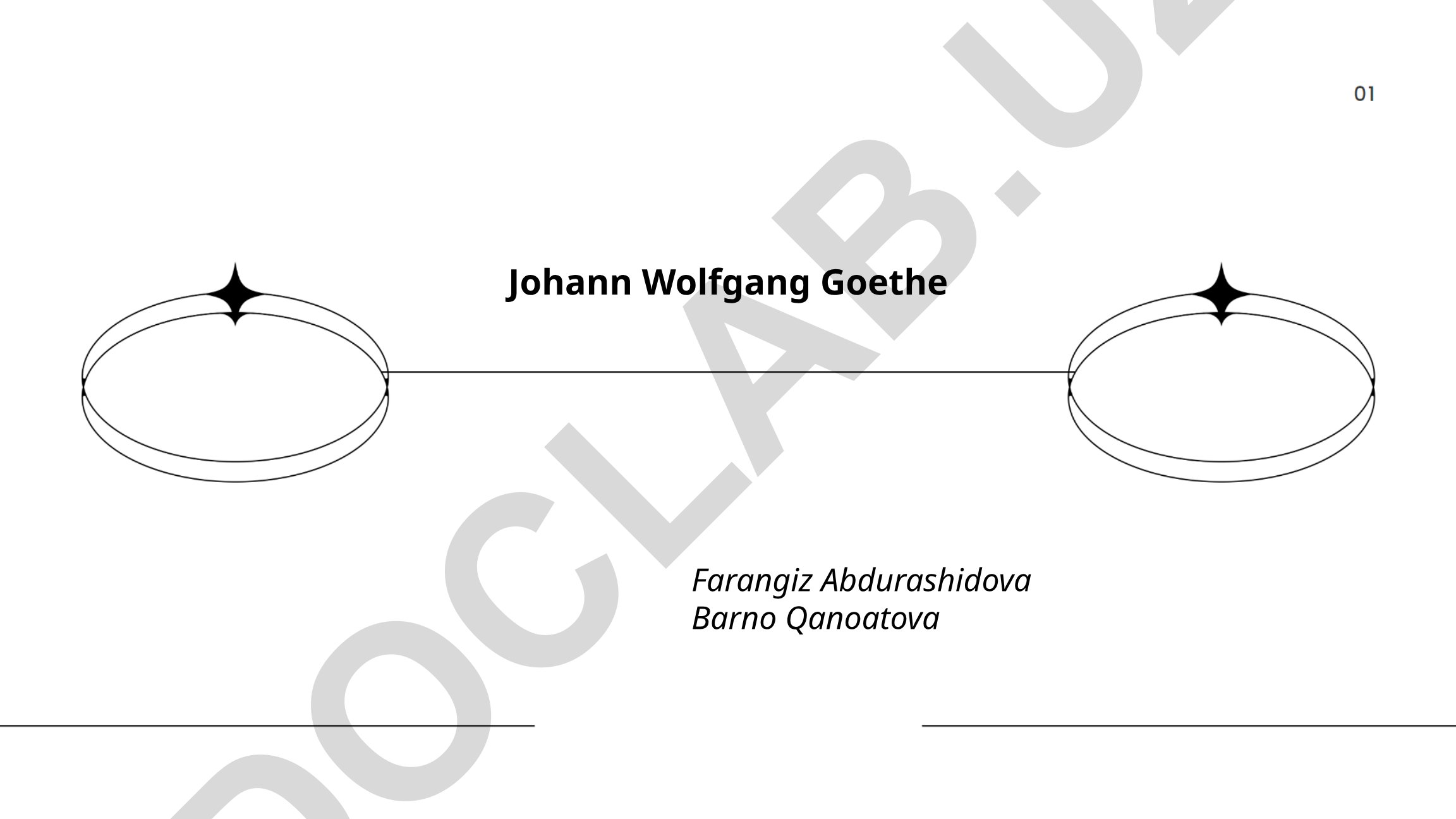 Johann Wolfgang von Goethe: Biographie und literarischer Einfluss