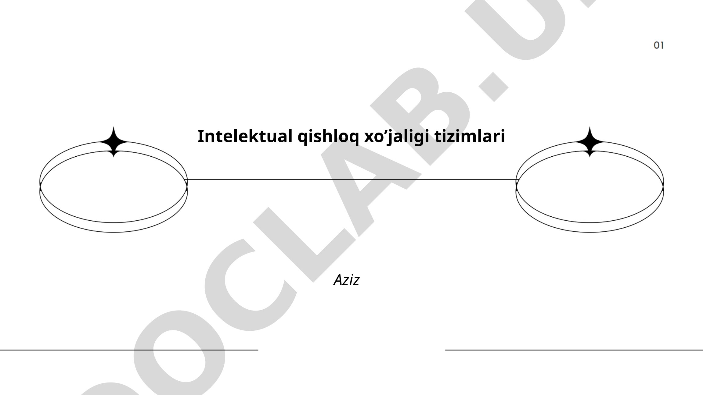 Intelektual qishloq xo'jaligi tizimlari