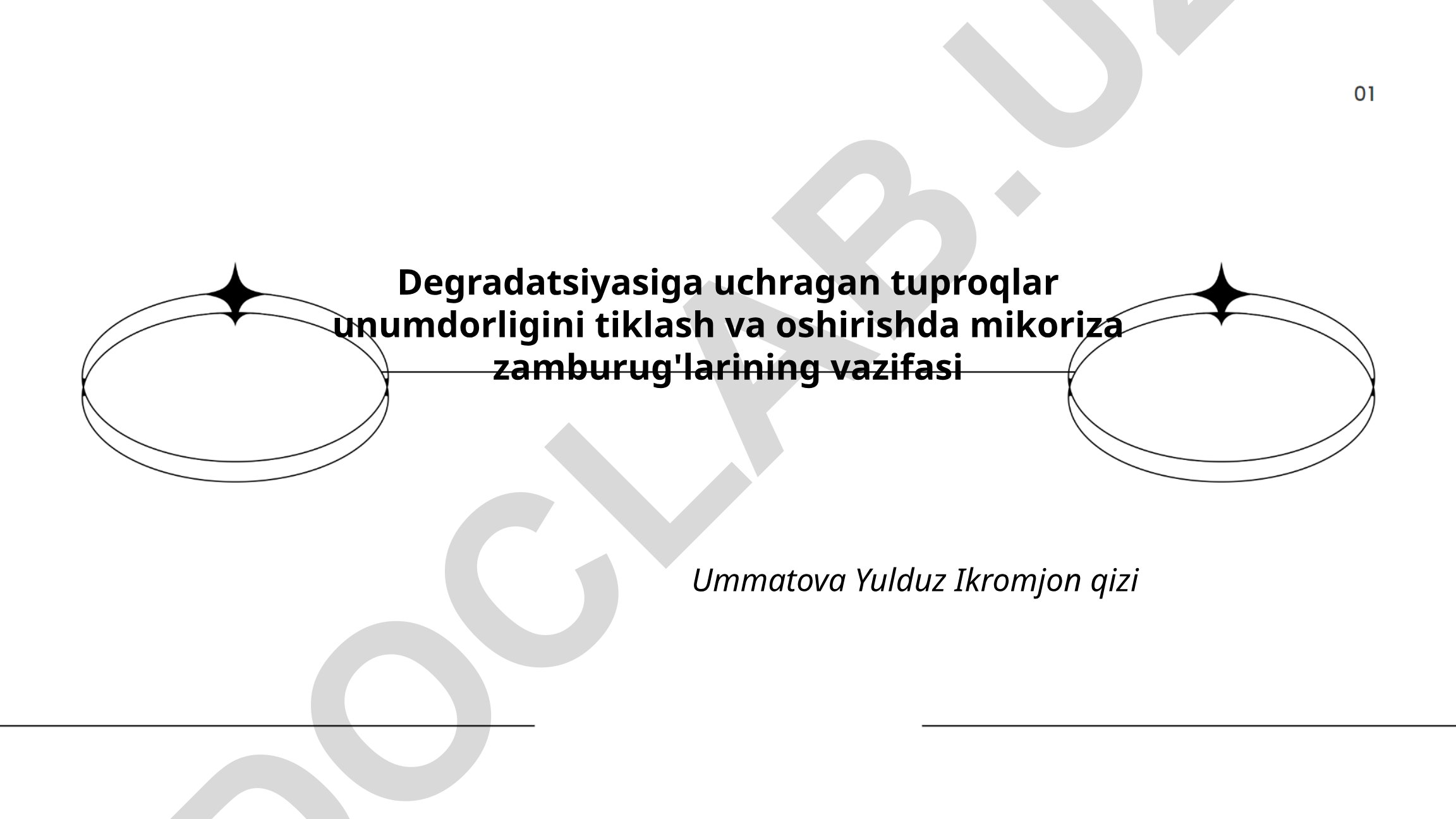 Degradatsiyasiga uchragan tuproqlar unumdorligini tiklash va oshirishda mikoriza zamburug'larining vazifasi