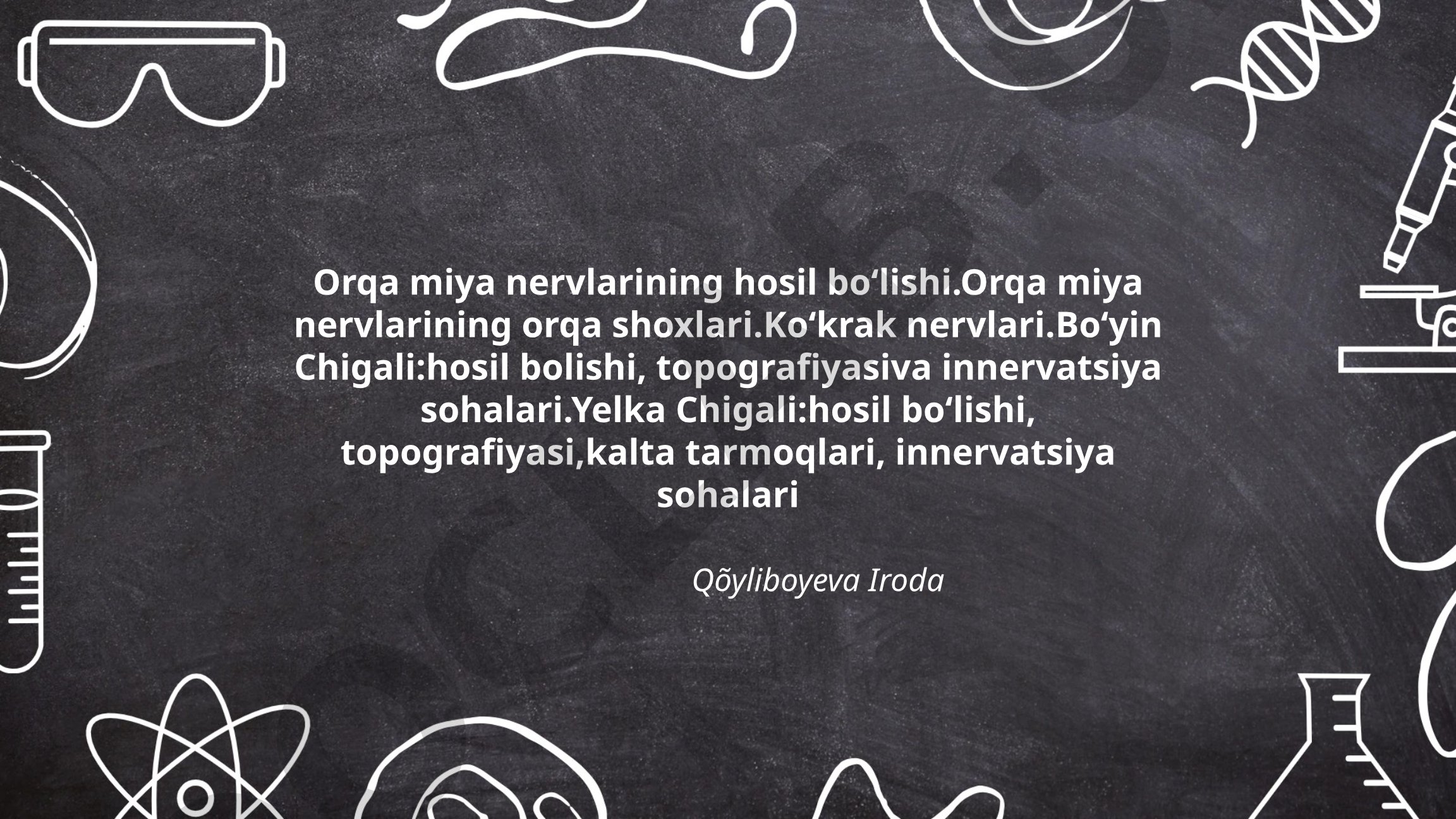 Orqa miya nervlarining hosil boʻlishi va chigallar