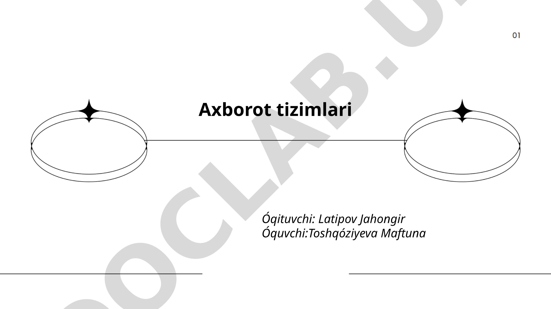 Axborot tizimlari