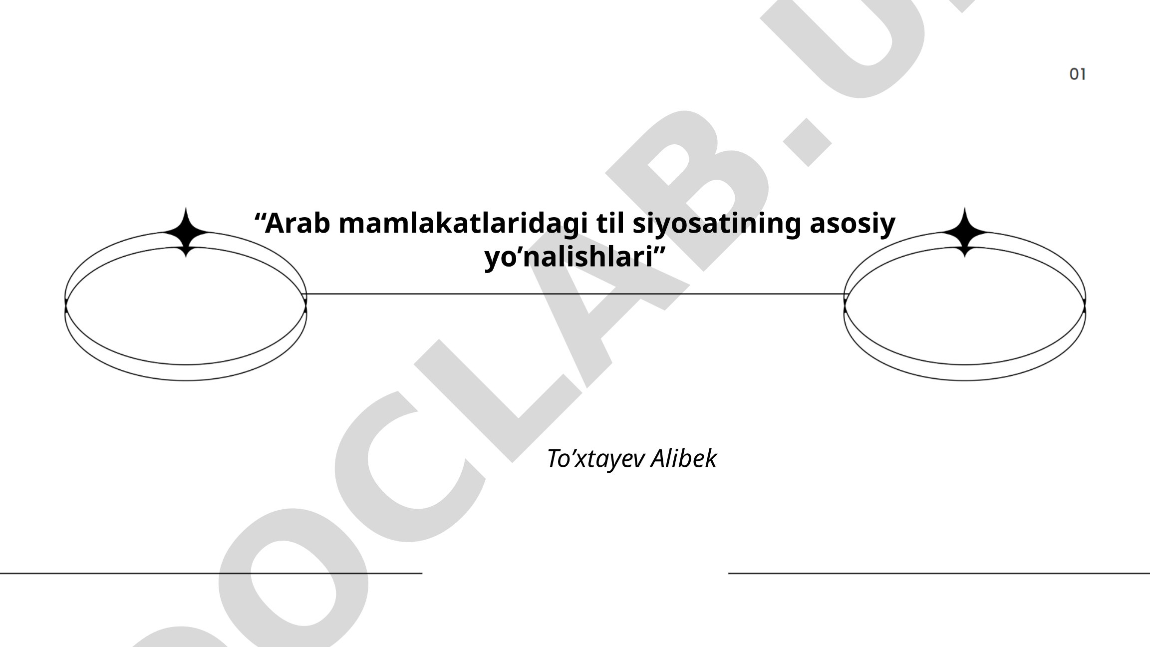 Arab mamlakatlaridagi til siyosatining asosiy yo'nalishlari