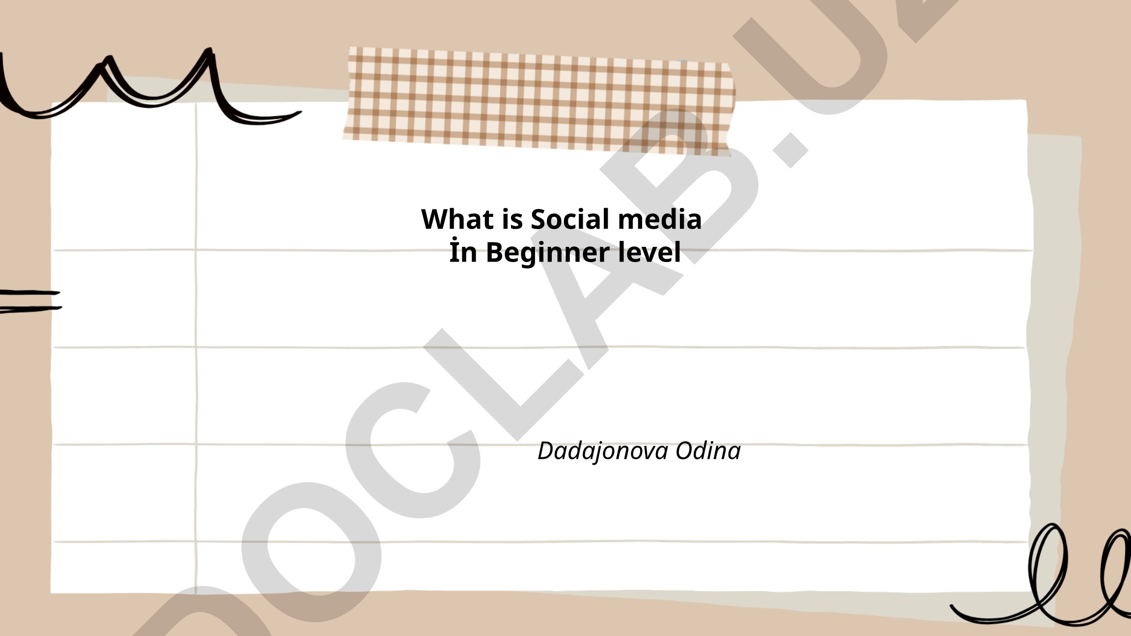 What is Social Media in Beginner Level