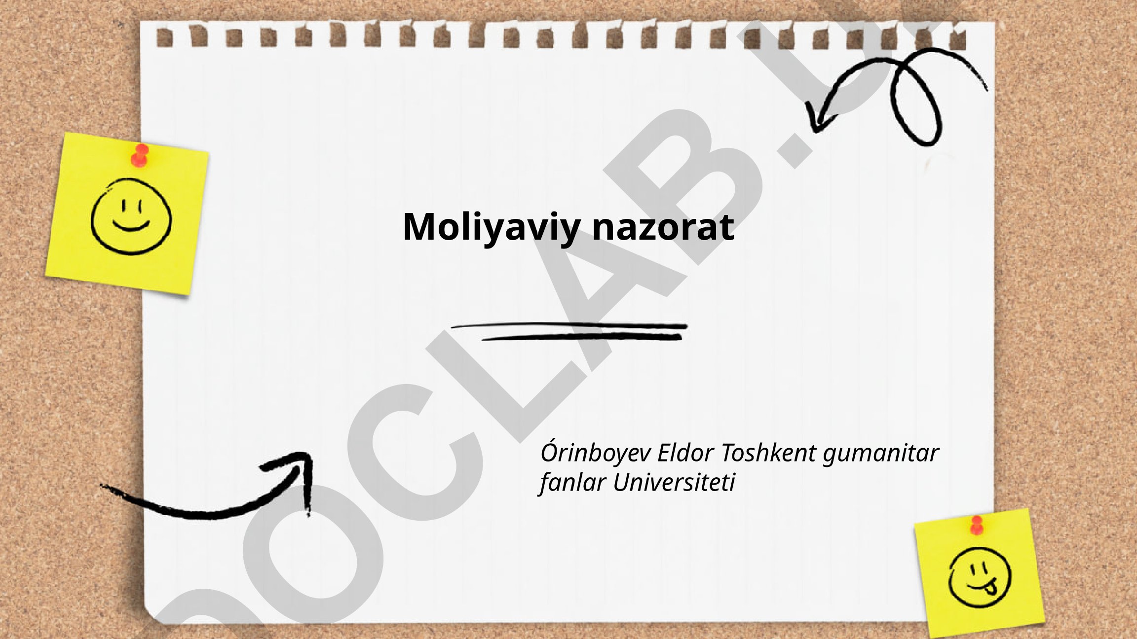 Moliyaviy nazoratning mohiyati va tizimlari