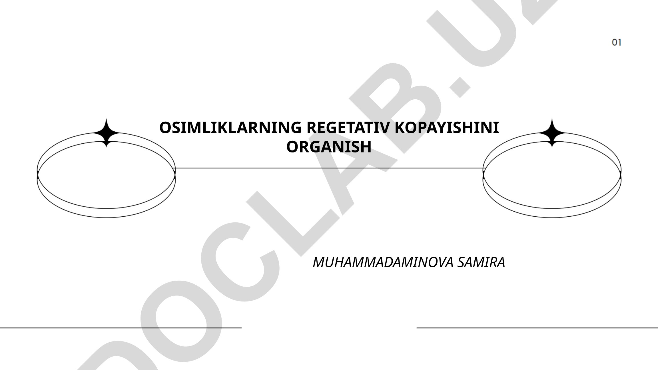 O'simliklarning vegetativ ko'payishini o'rganish