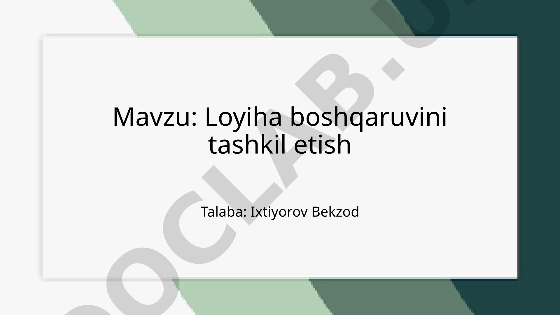 Loyiha boshqaruvini tashkil etish