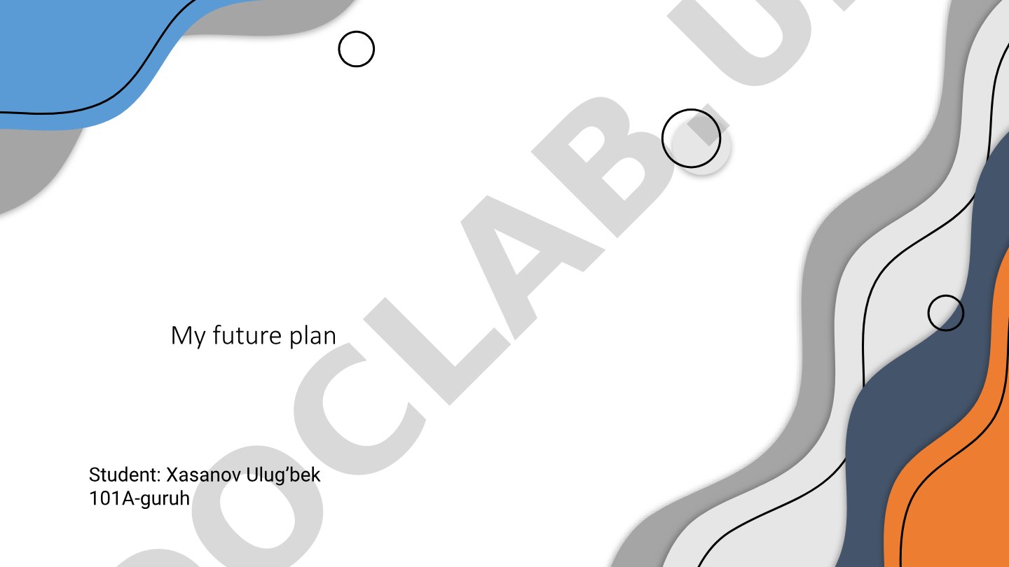 My Future Plan