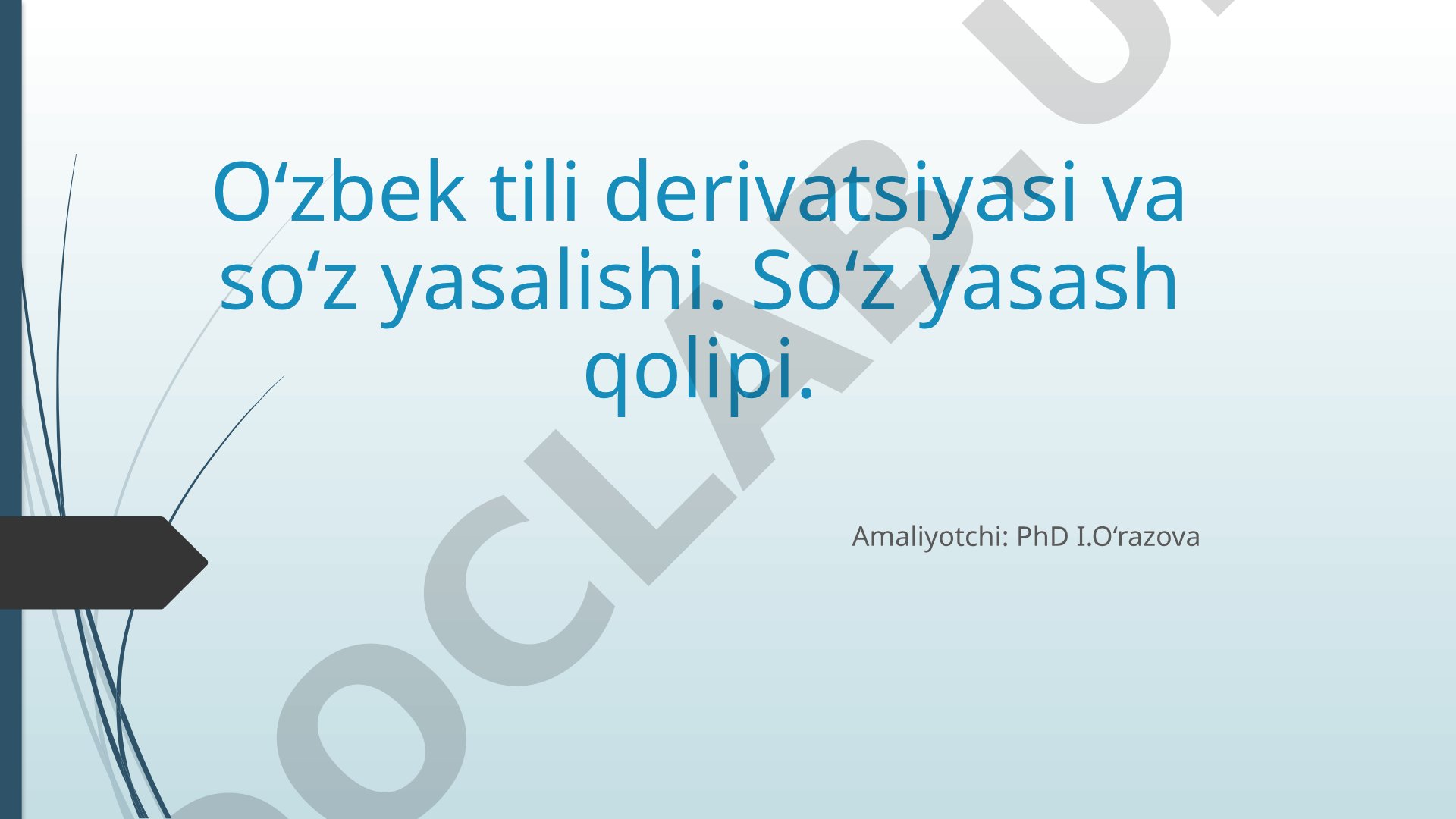 O‘zbek tili derivatsiyasi va so‘z yasalishi